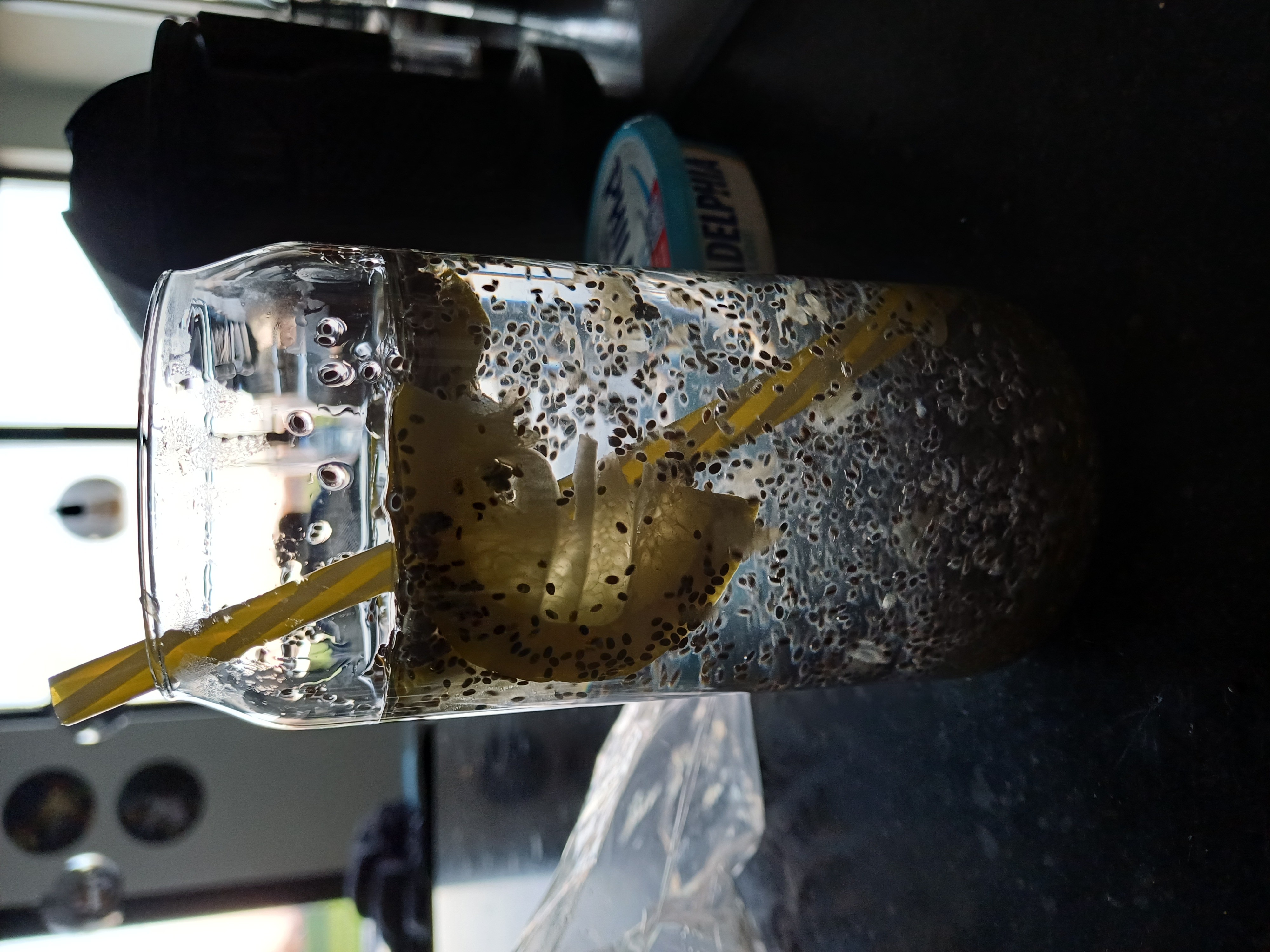 Chia Lemon Detox Drink