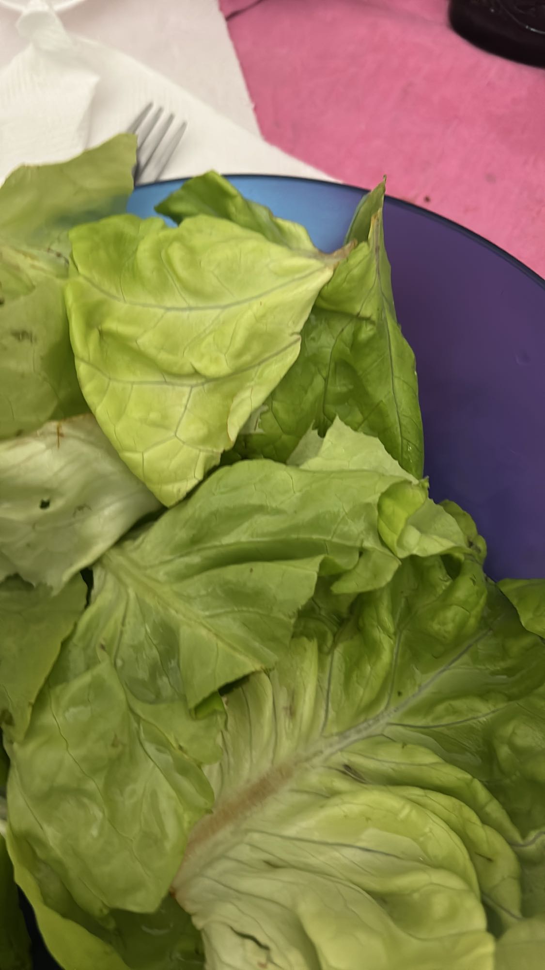 Yeşil Marul Salatası