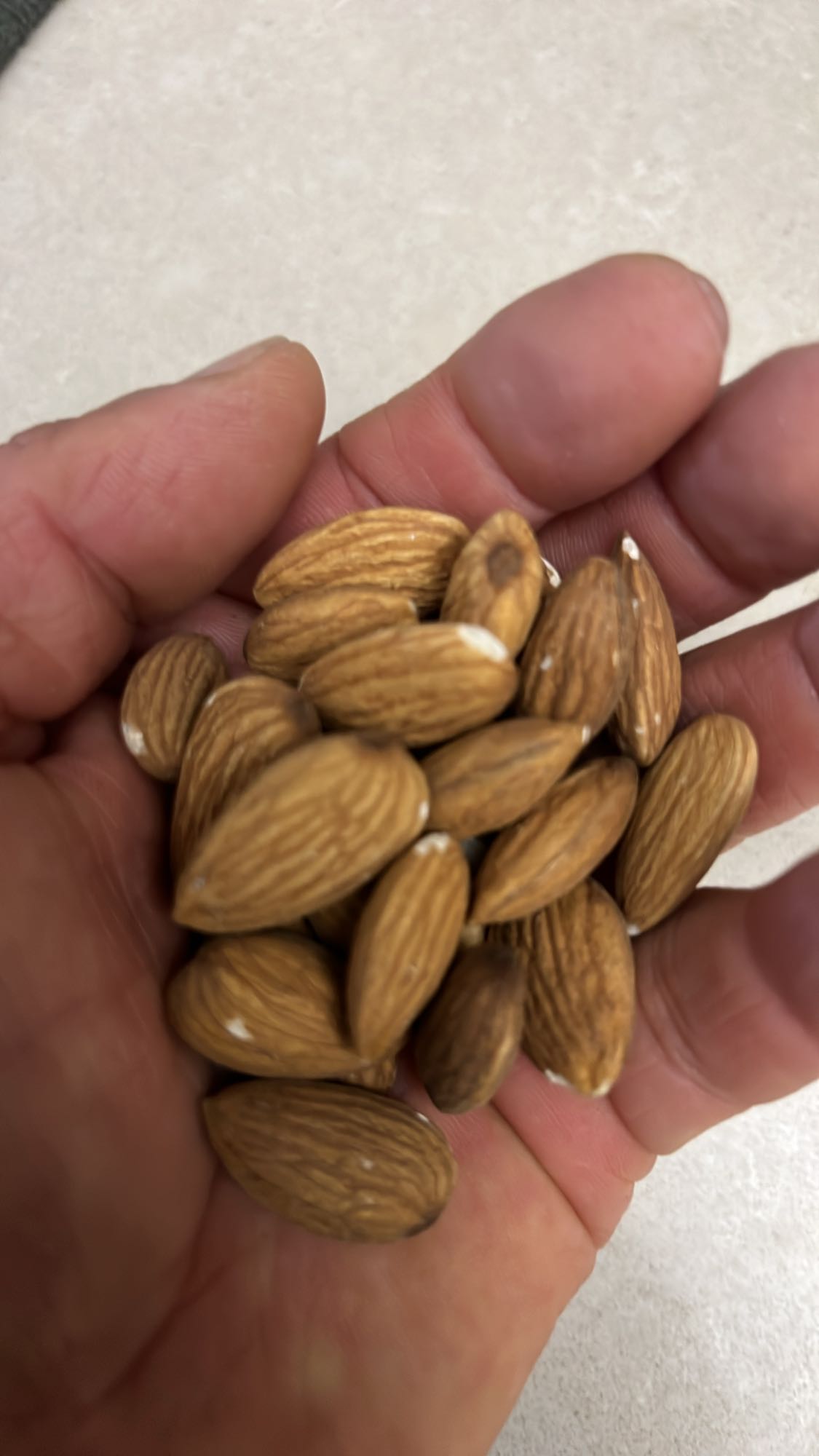 Handful of Almonds
