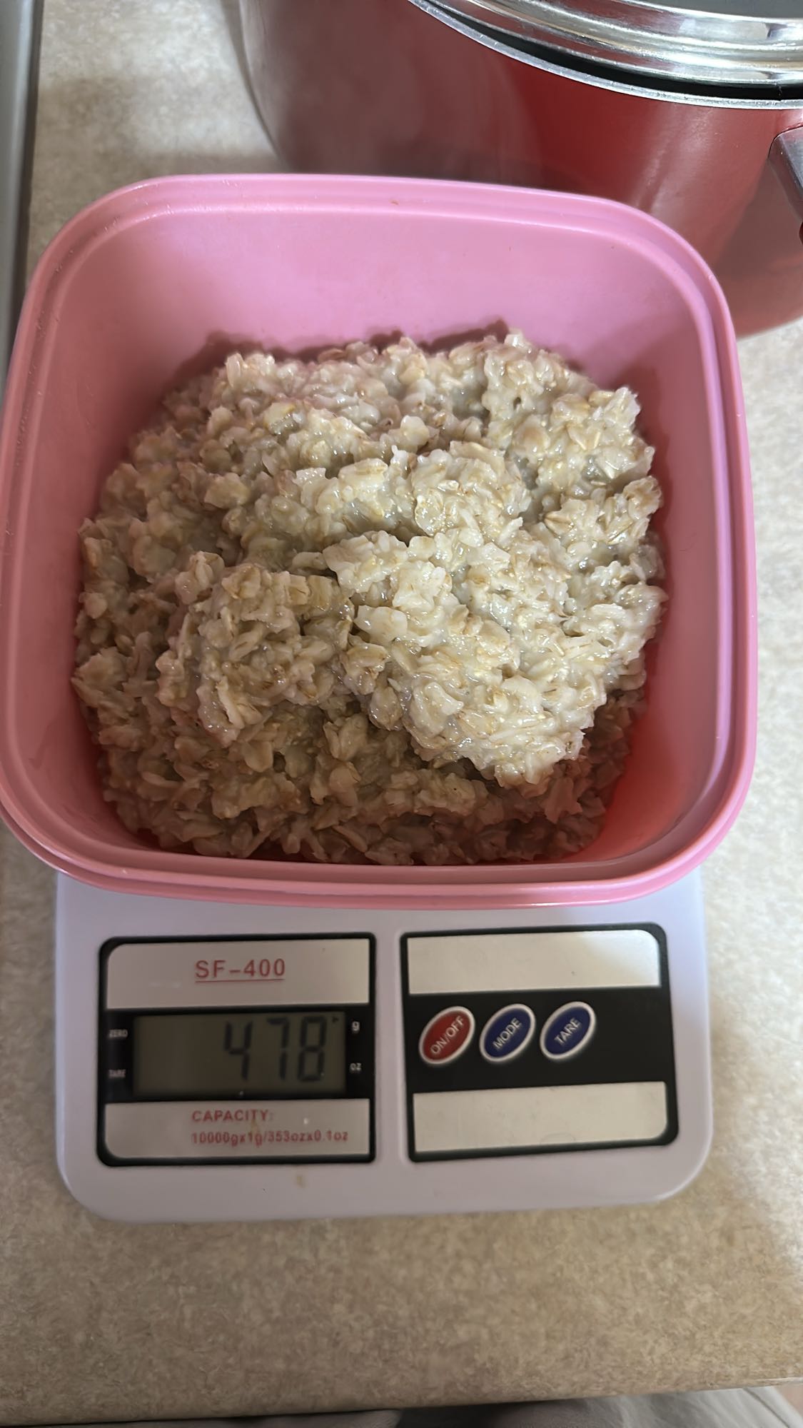 Plain Cooked Oatmeal