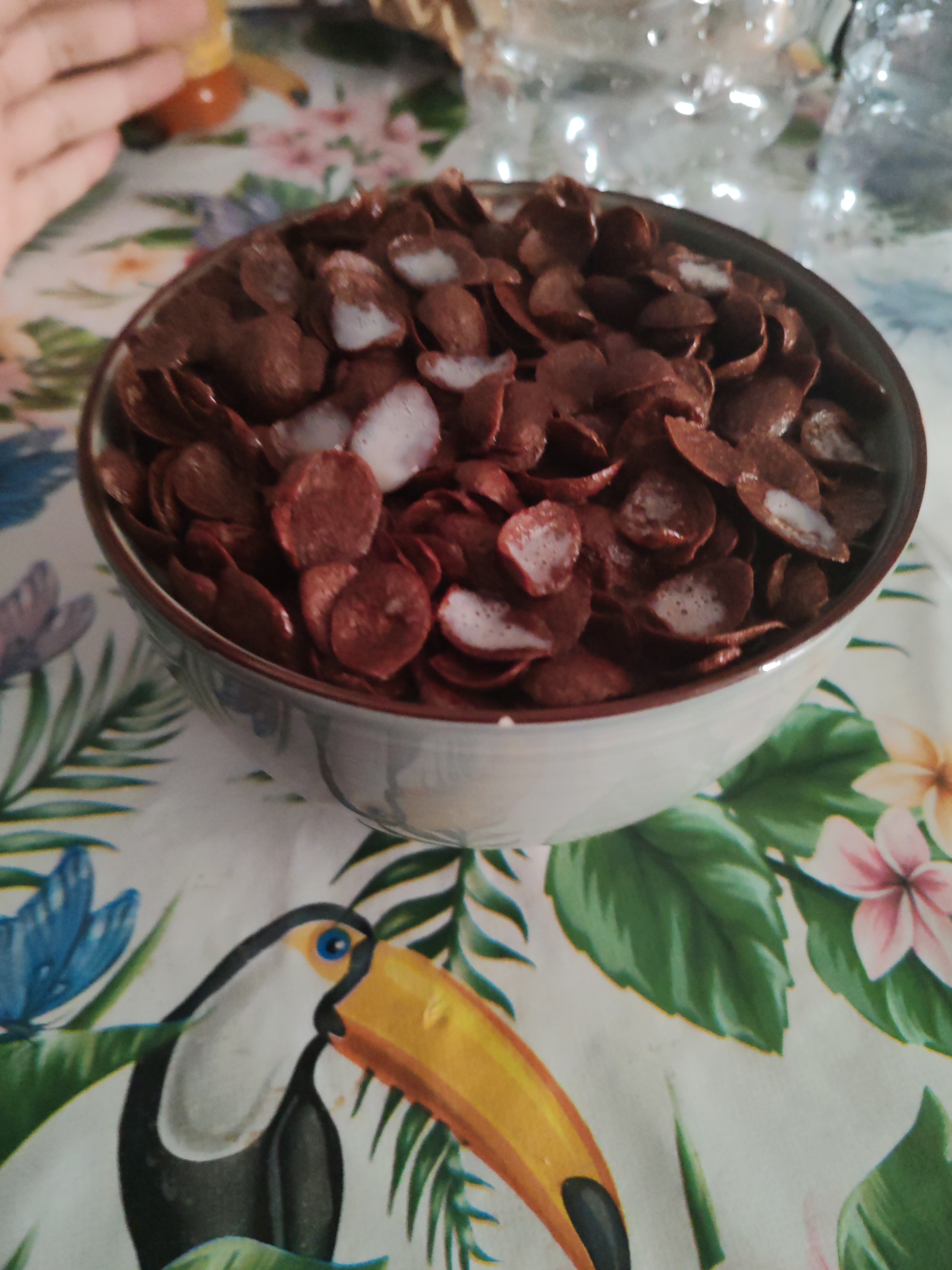 Chocolate cereal bowl