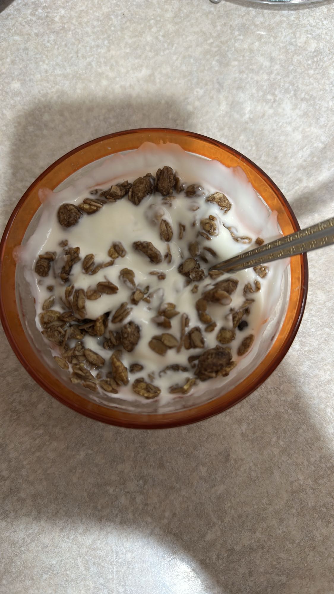 Yogurt with granola