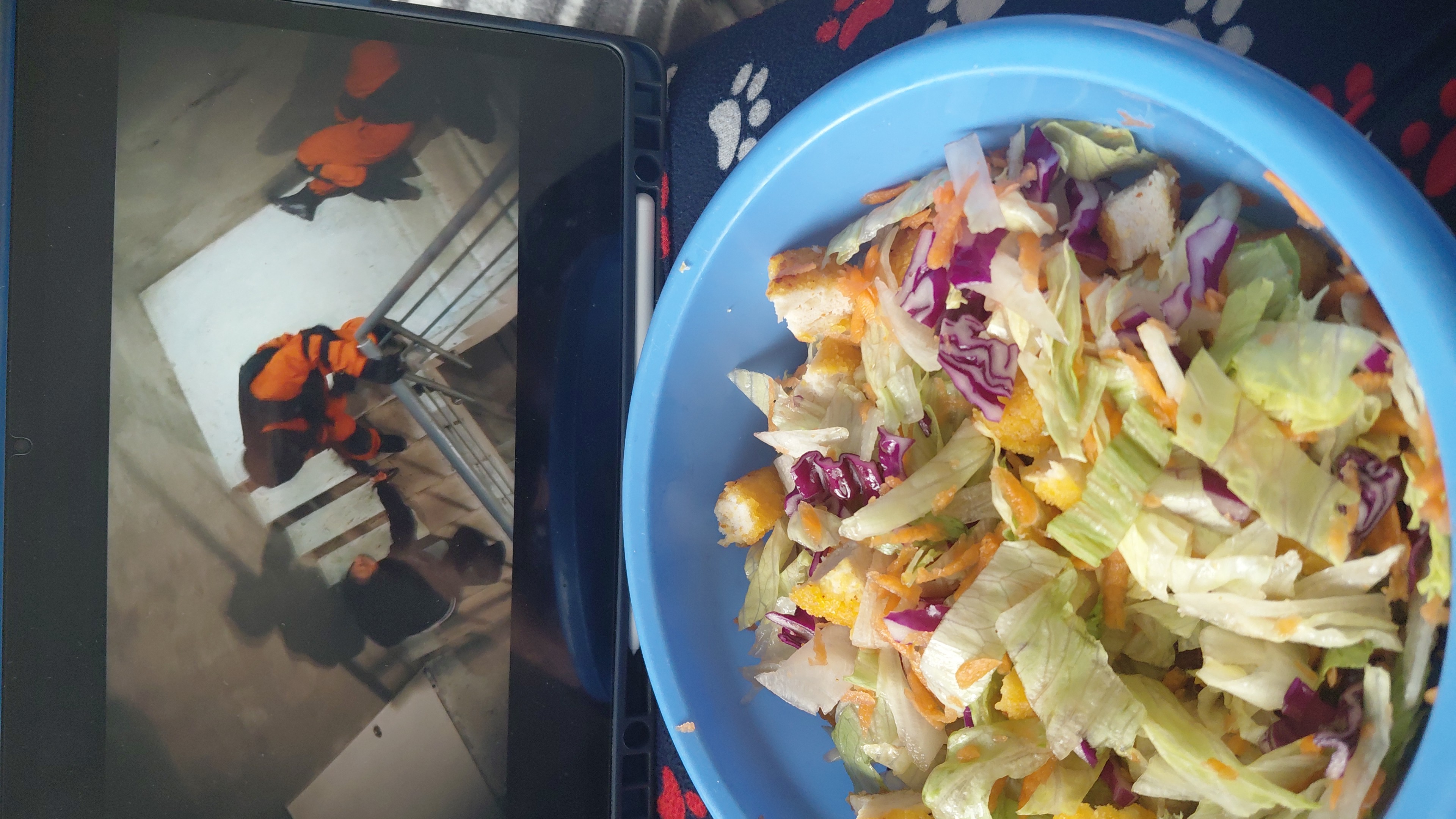 Chicken Veggie Salad