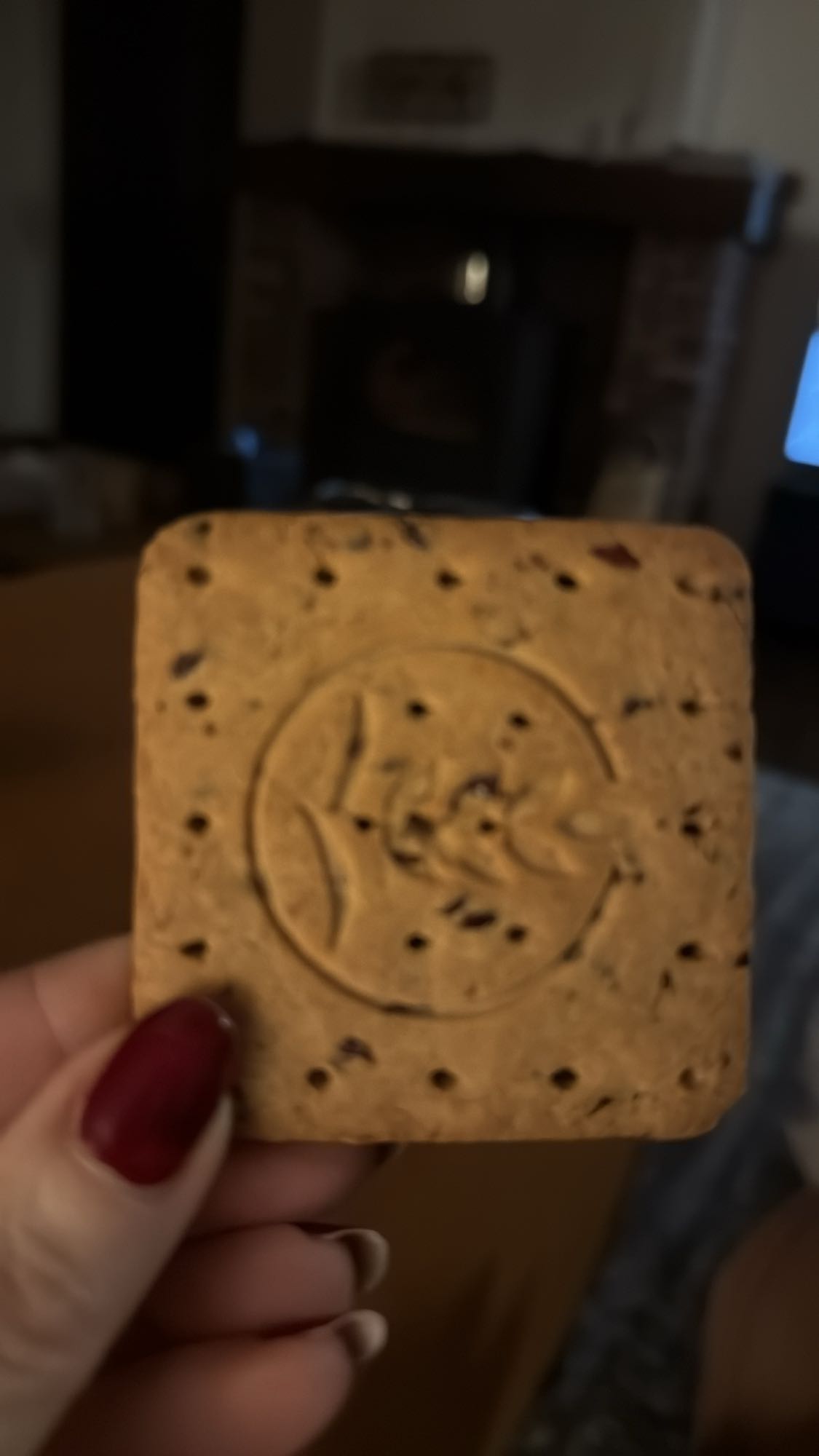 volkoren biscuit