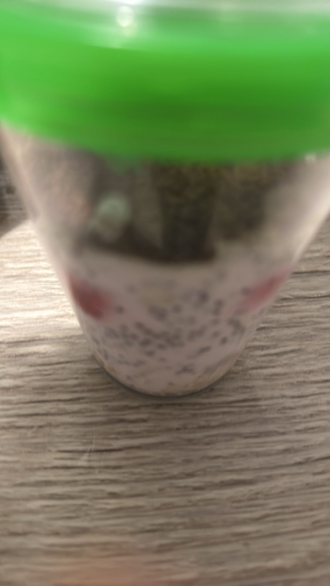 Pudding chia z owocami