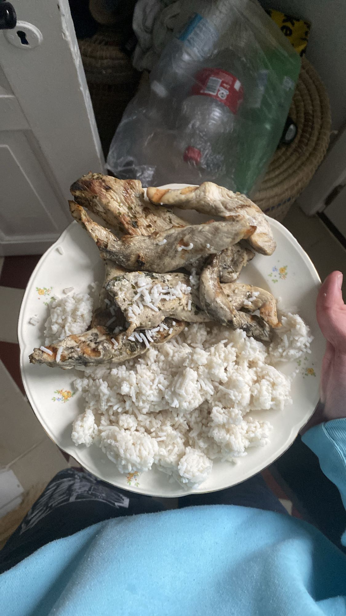 Grilled Chicken with Rice