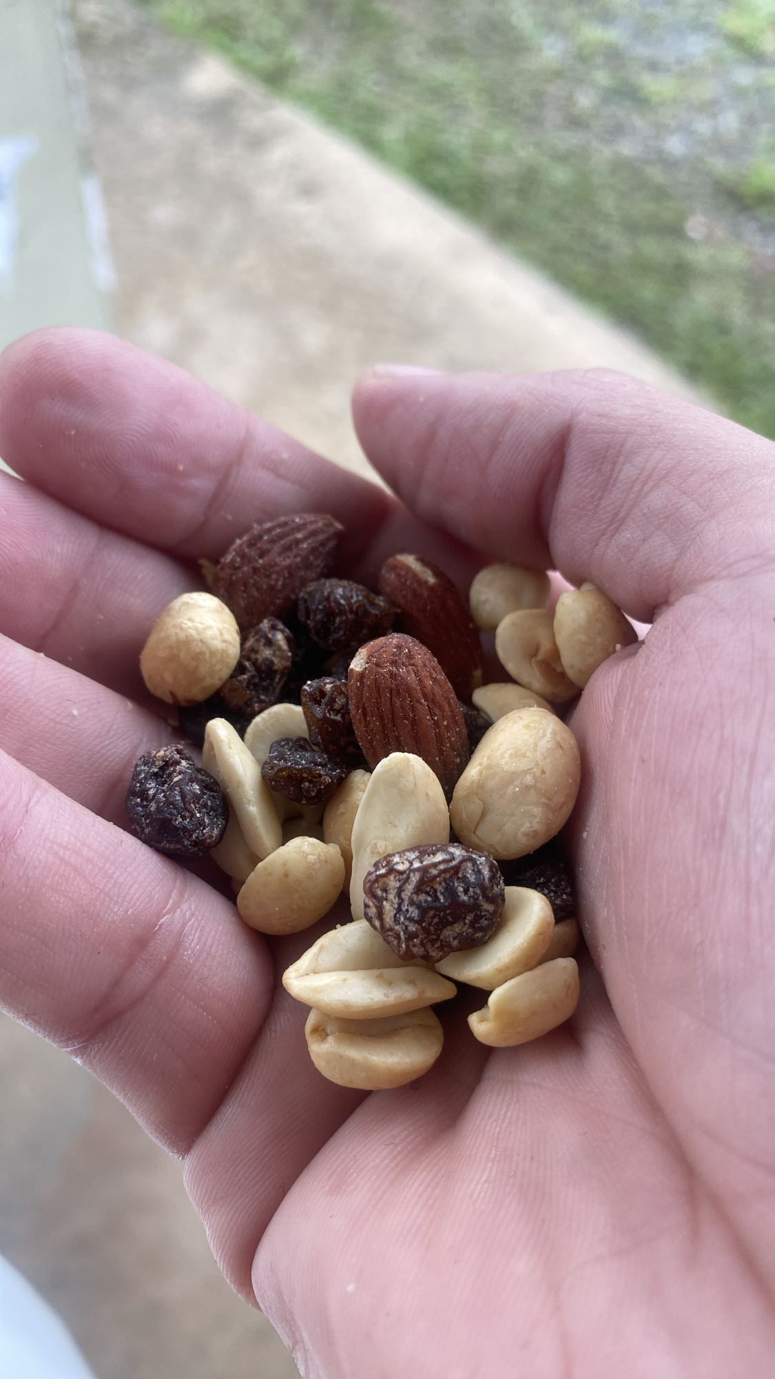 mezcla de frutos secos