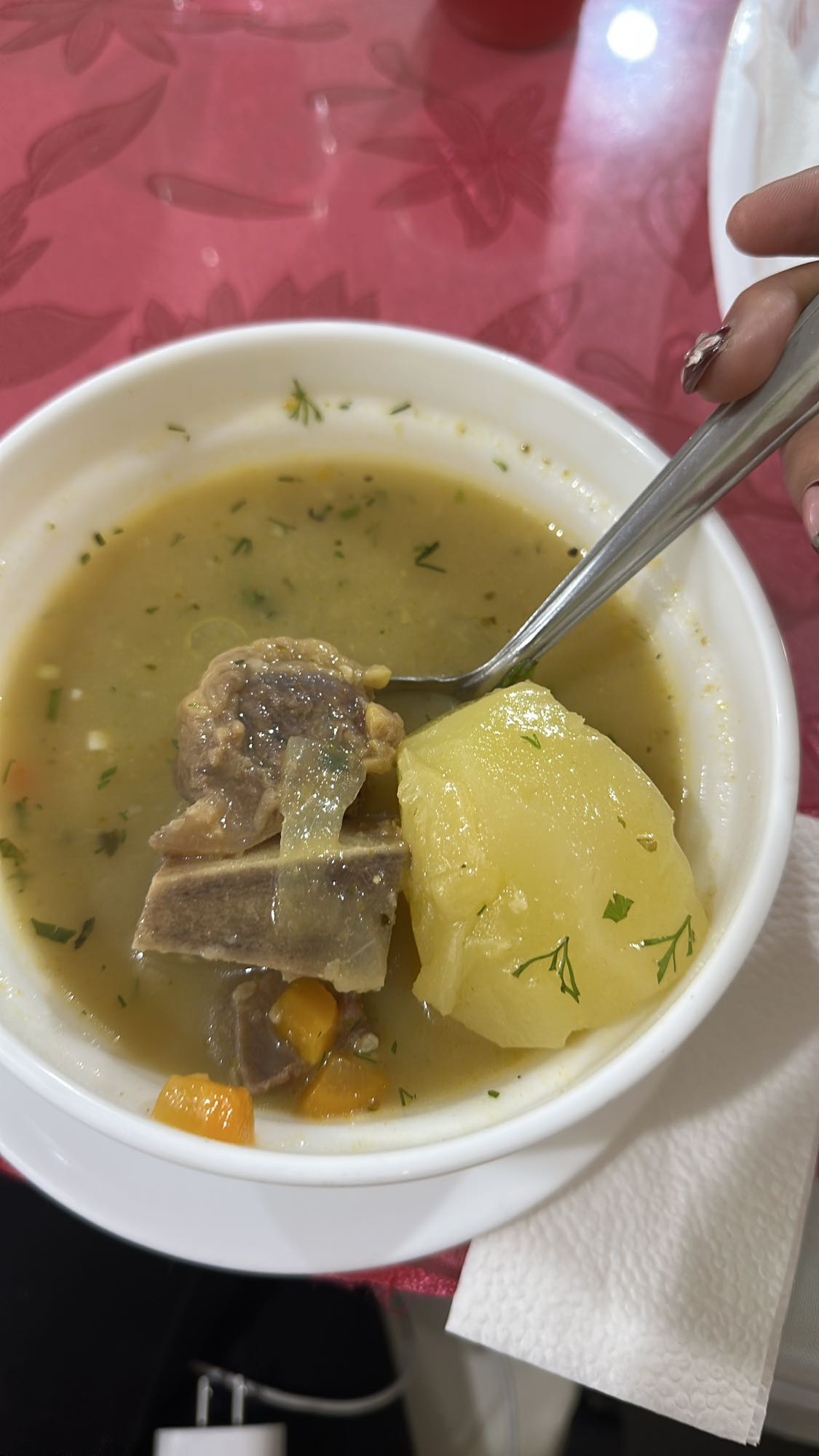 sopa de carne y verduras