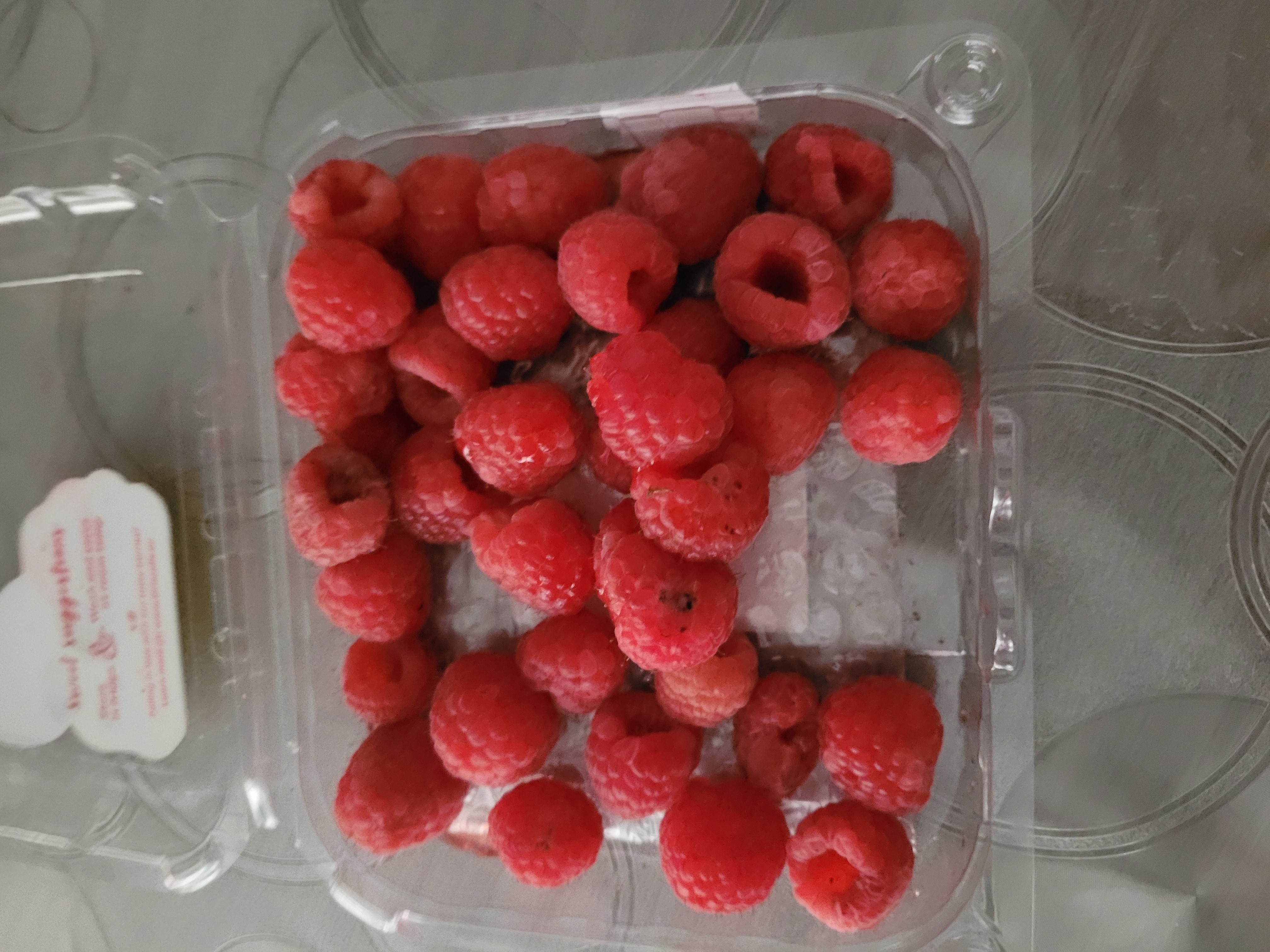 Framboises fraîches