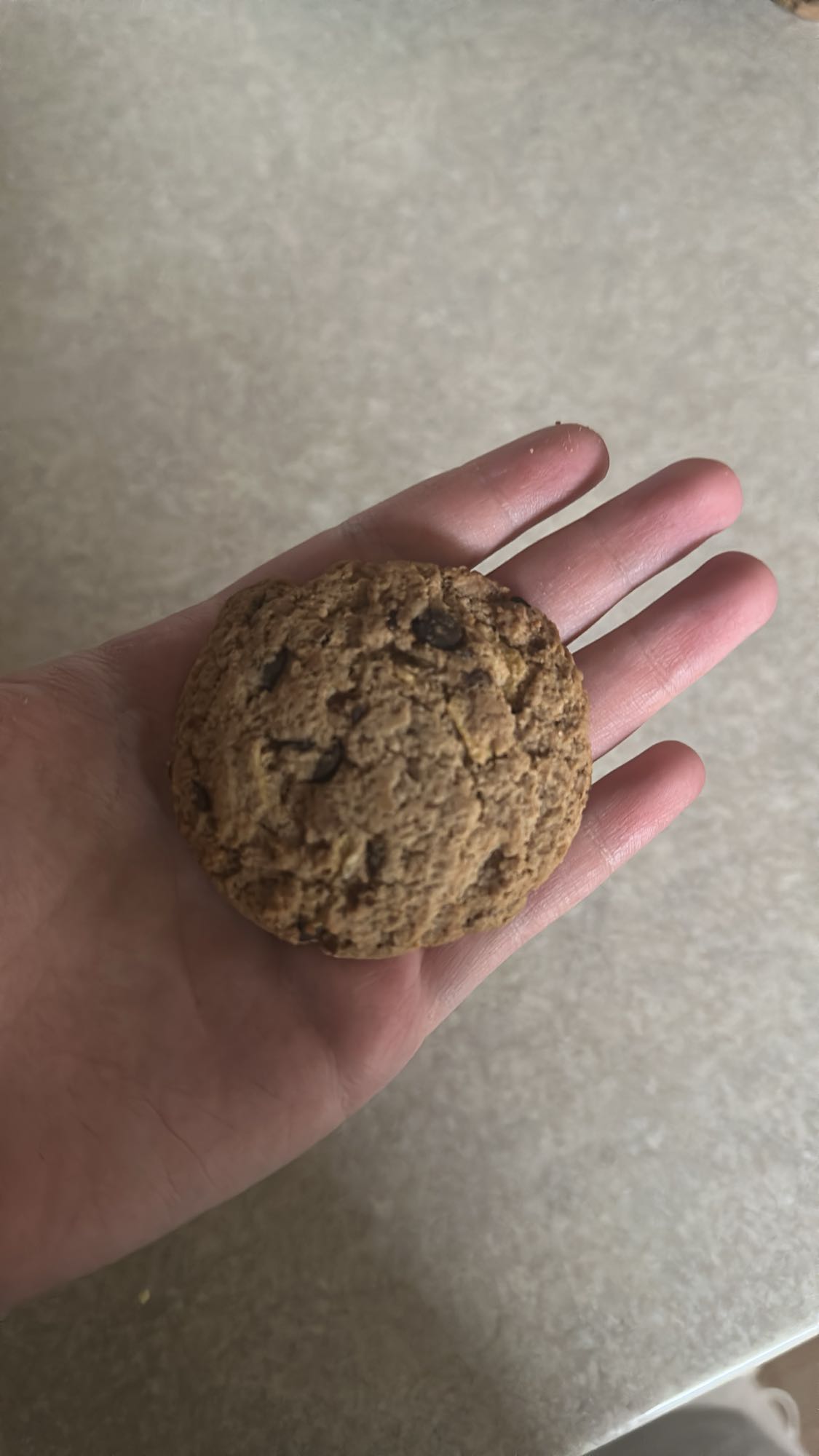 Chocolate chip cookie