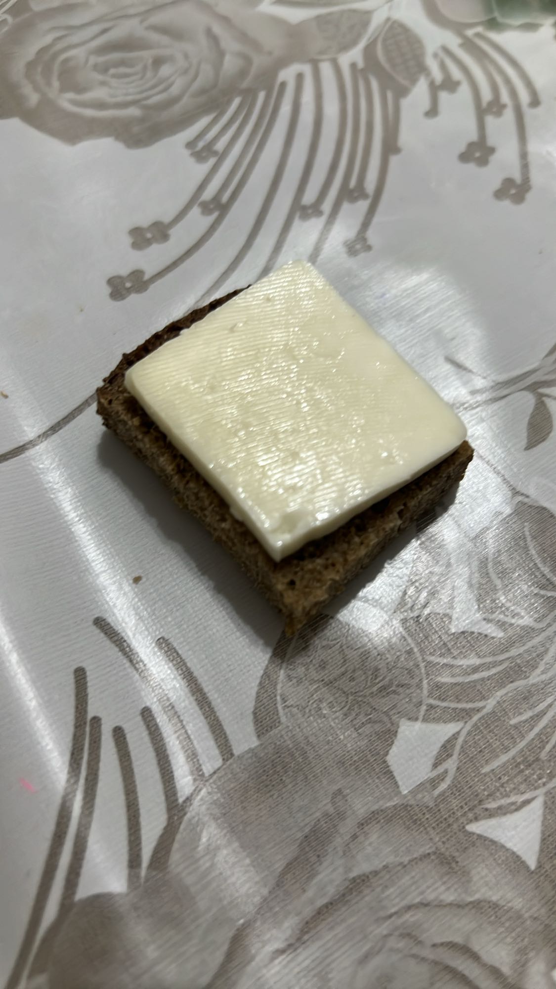 Cheese on Rye Bread