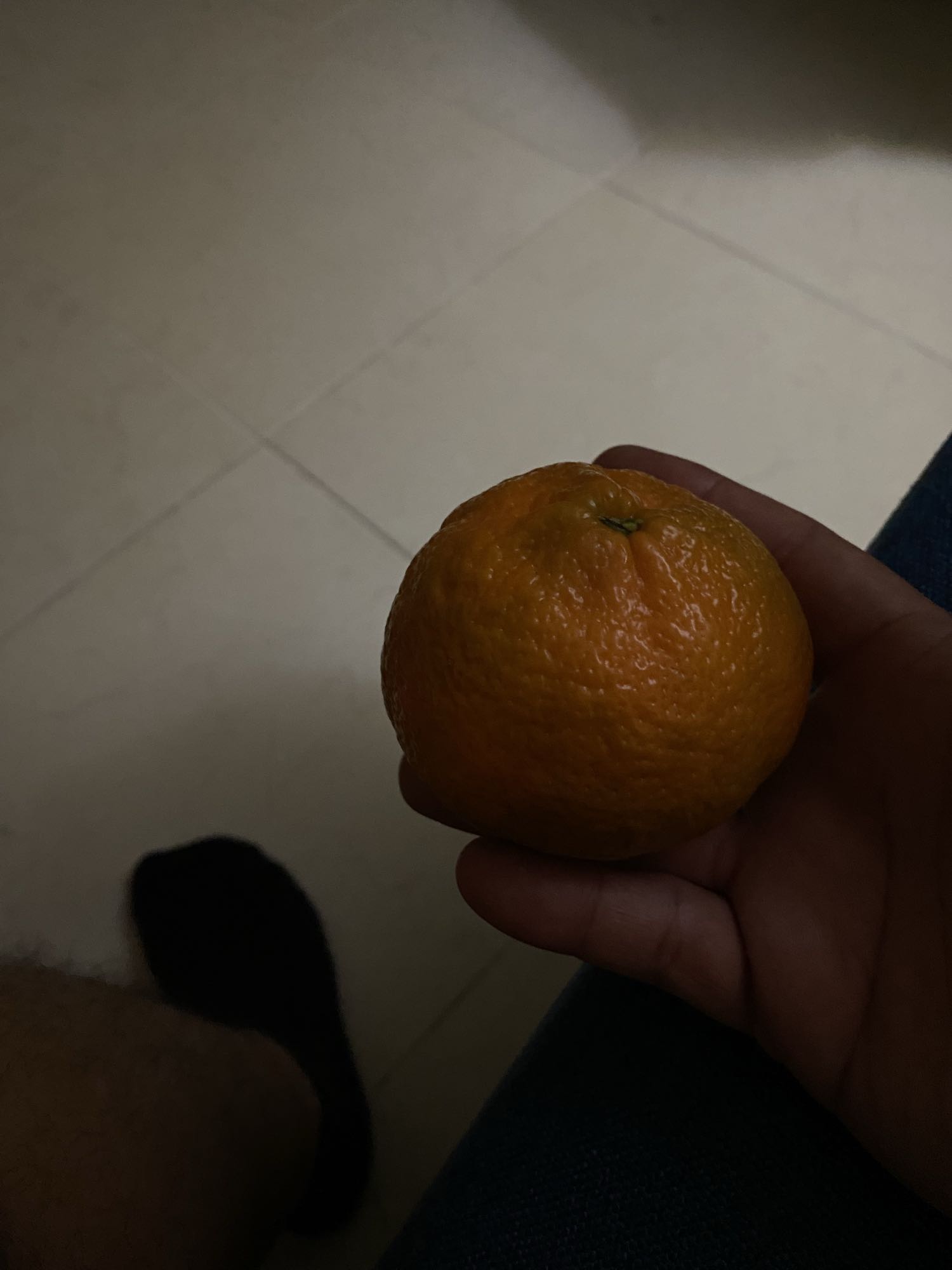 Mandarina fresca