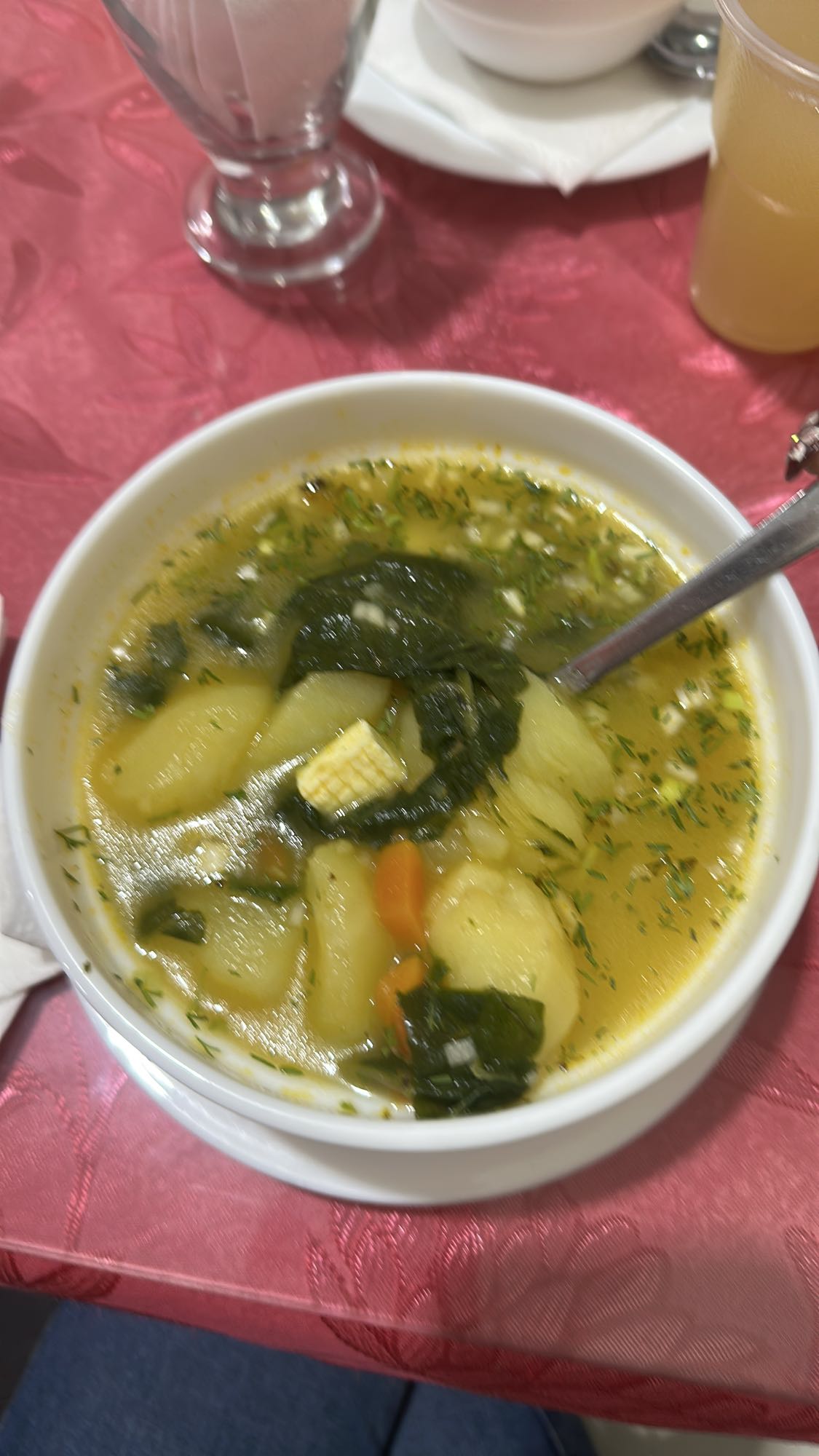 sopa de verduras