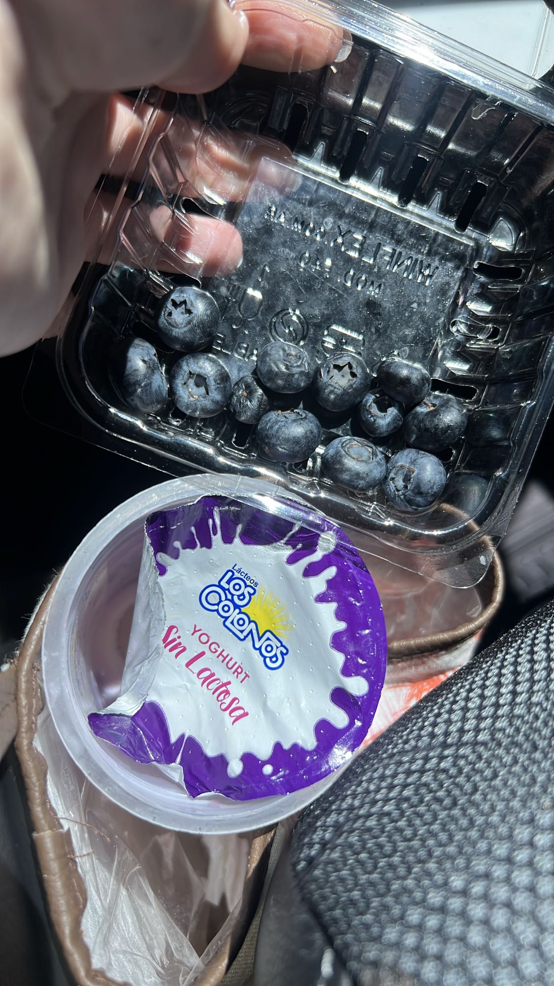 Blueberries and lactose-free yogurt
