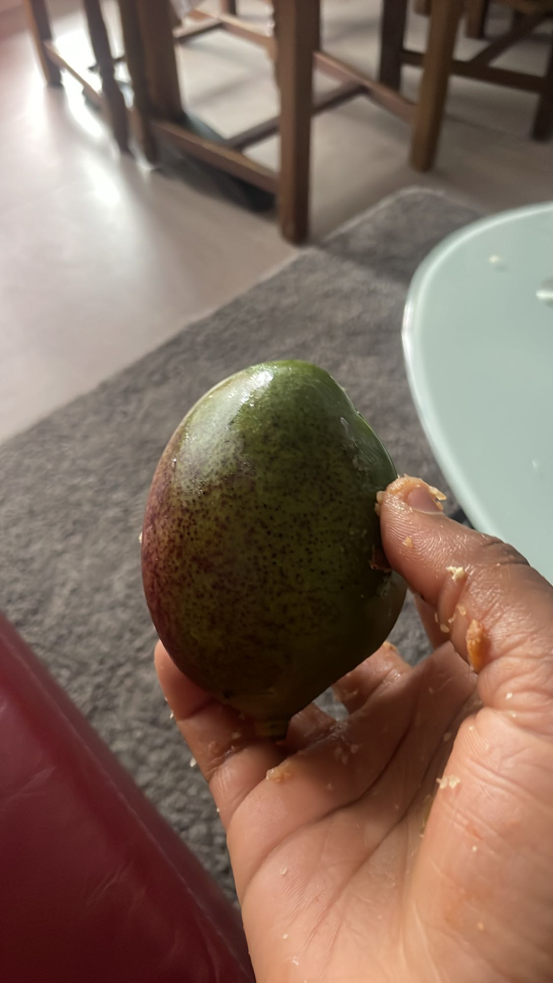 Avocat entier