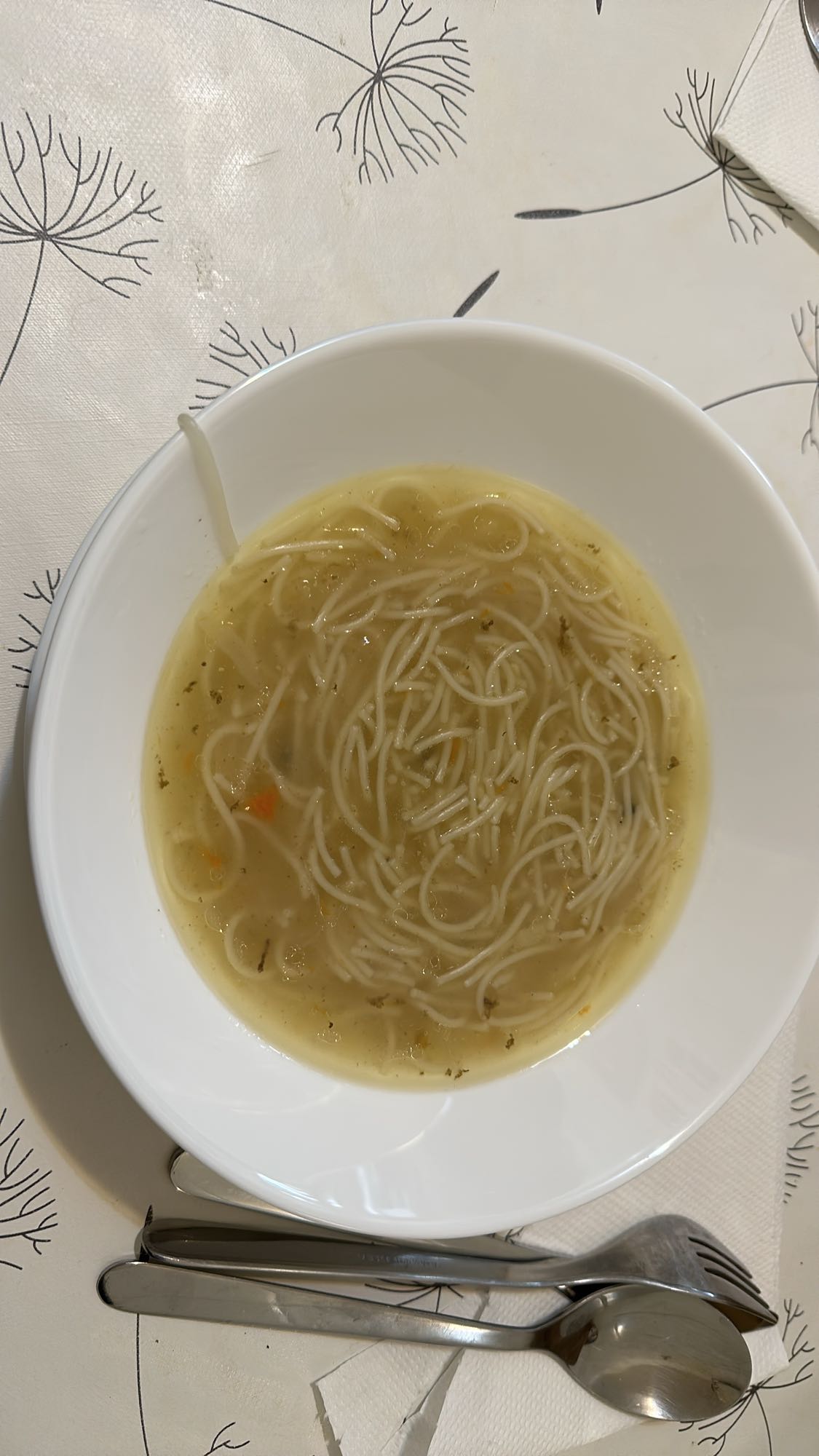 Noodle Soup