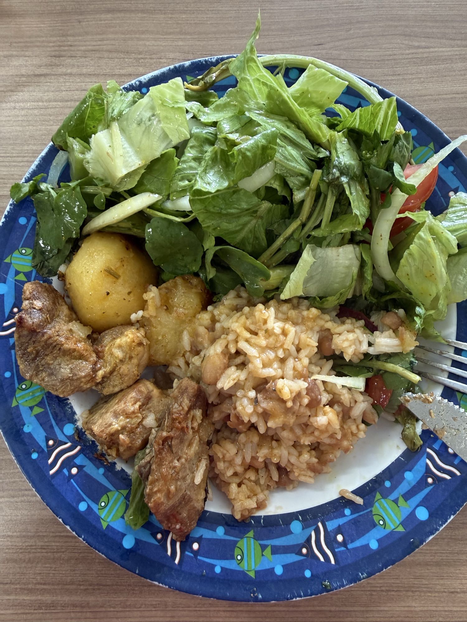 Arroz, carne e salada