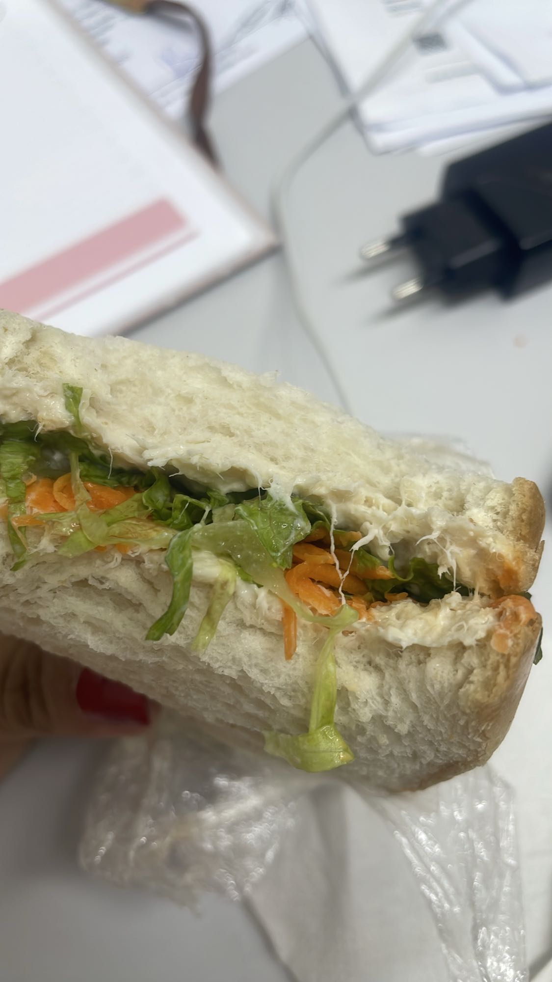 Sanduíche de legumes