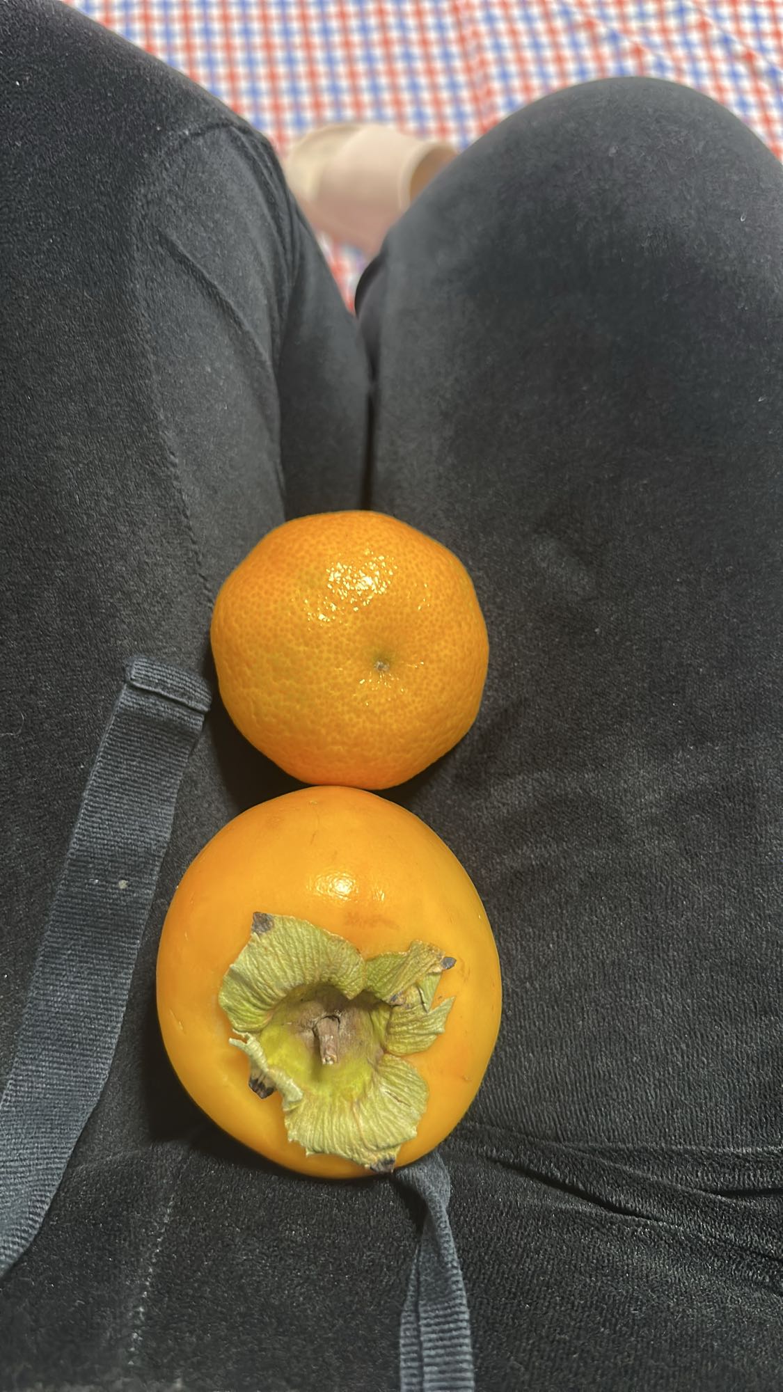 Mandarijn en kaki fruit