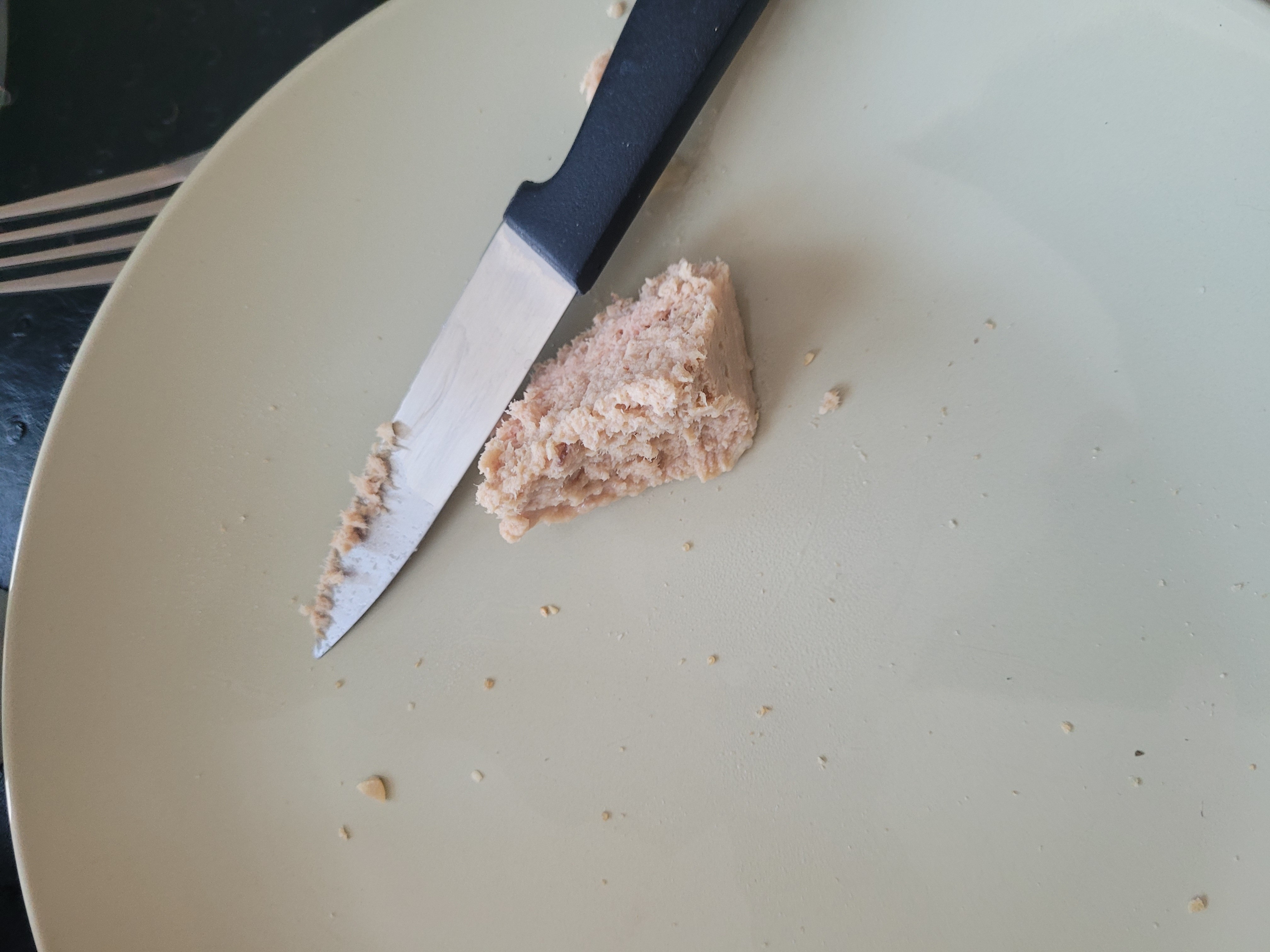 petit morceau de thon