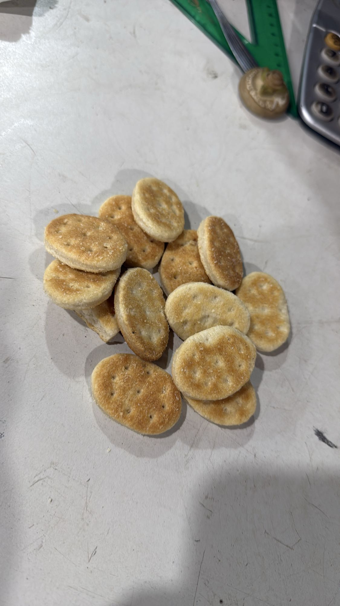 galletitas saladas