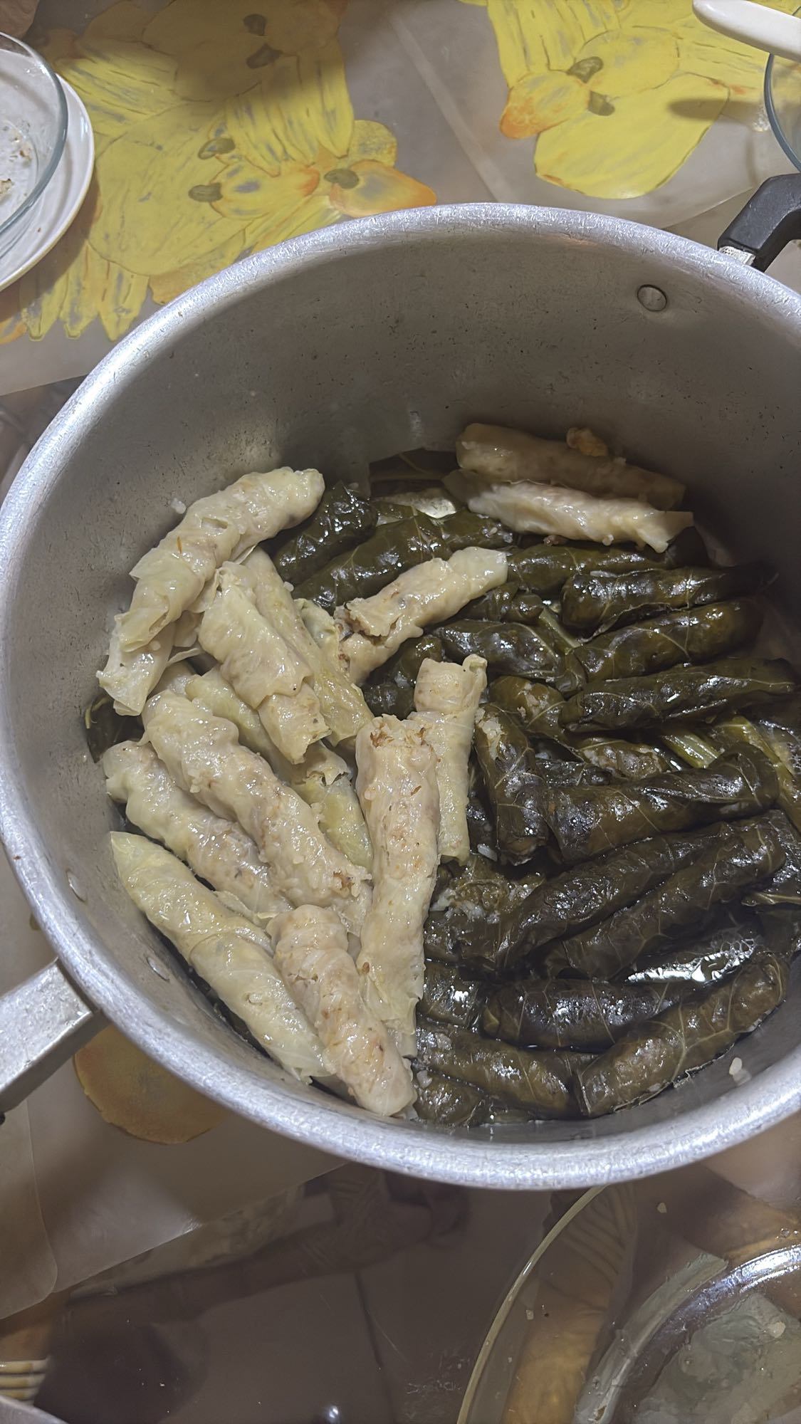 Charutos de repolho e uva