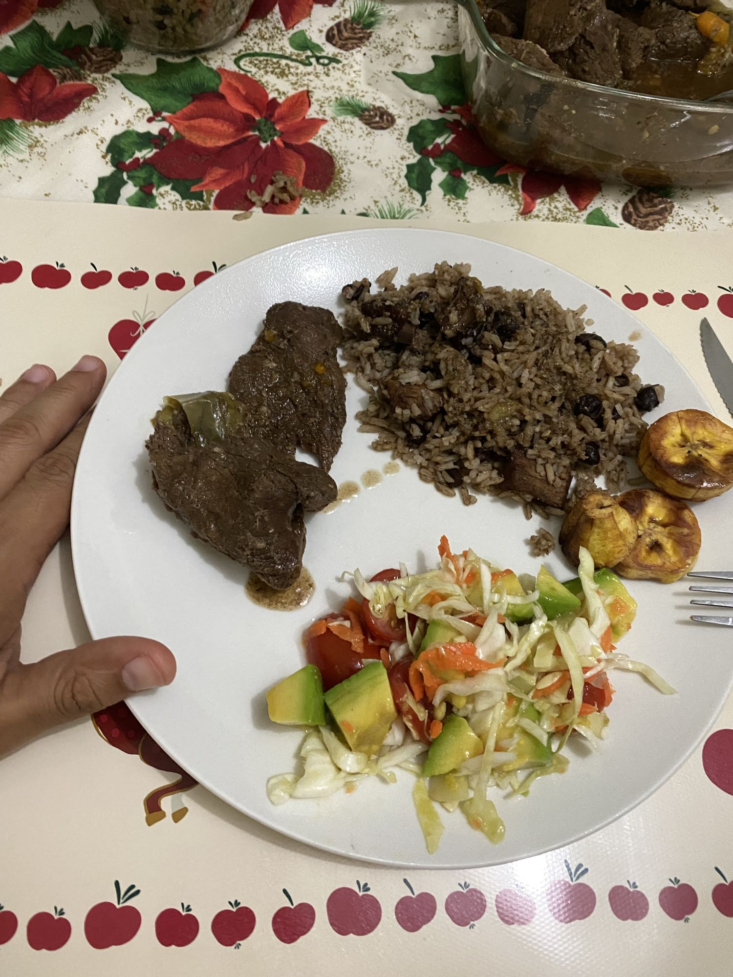 Carne con arroz y ensalada