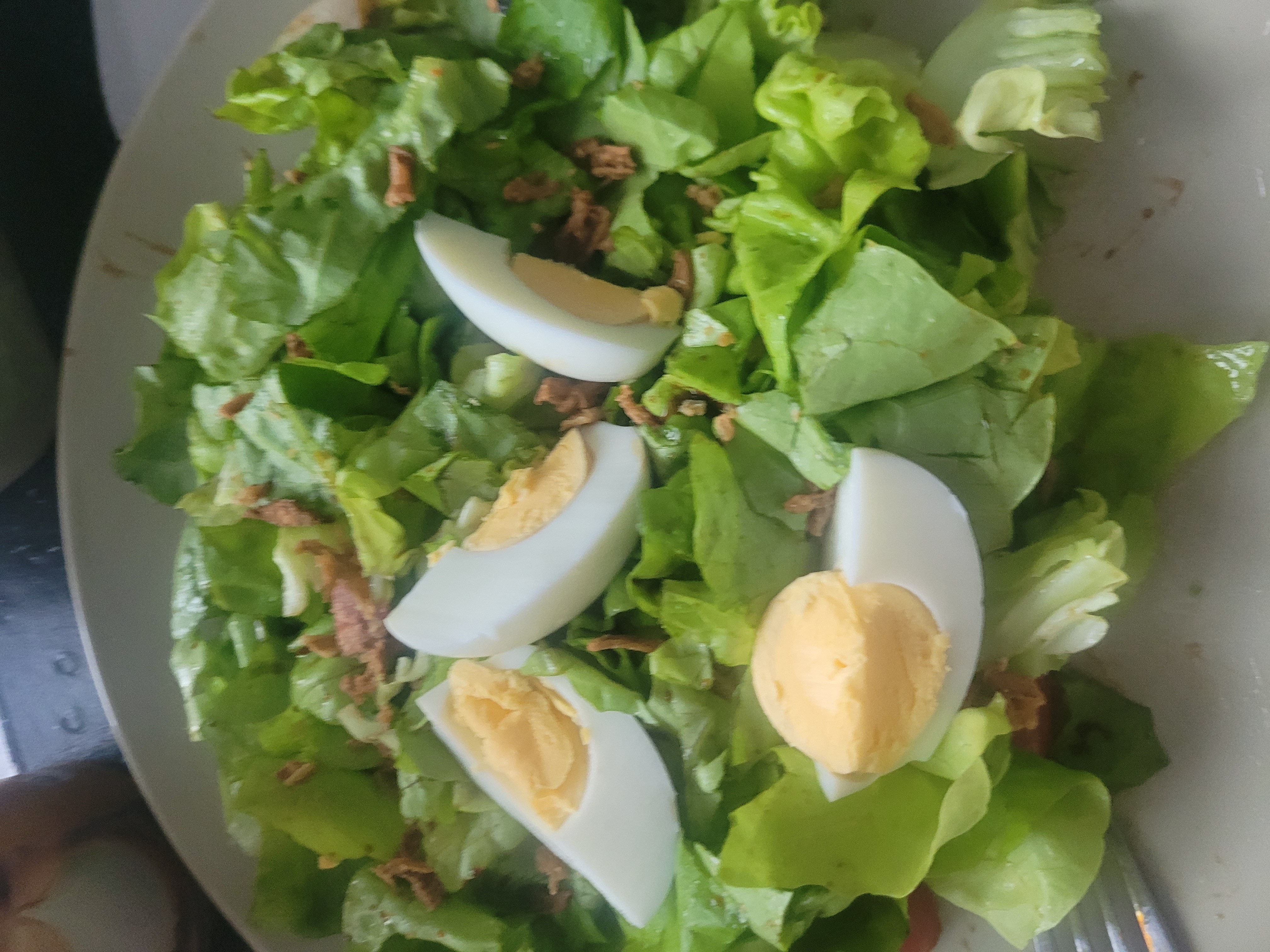 Salade œuf laitue