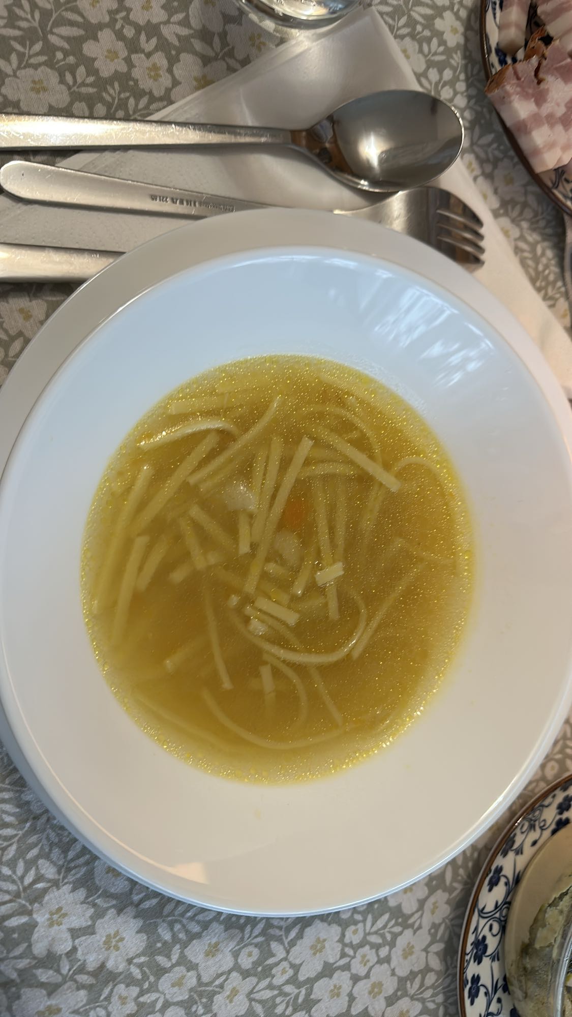 Chicken noodle soup