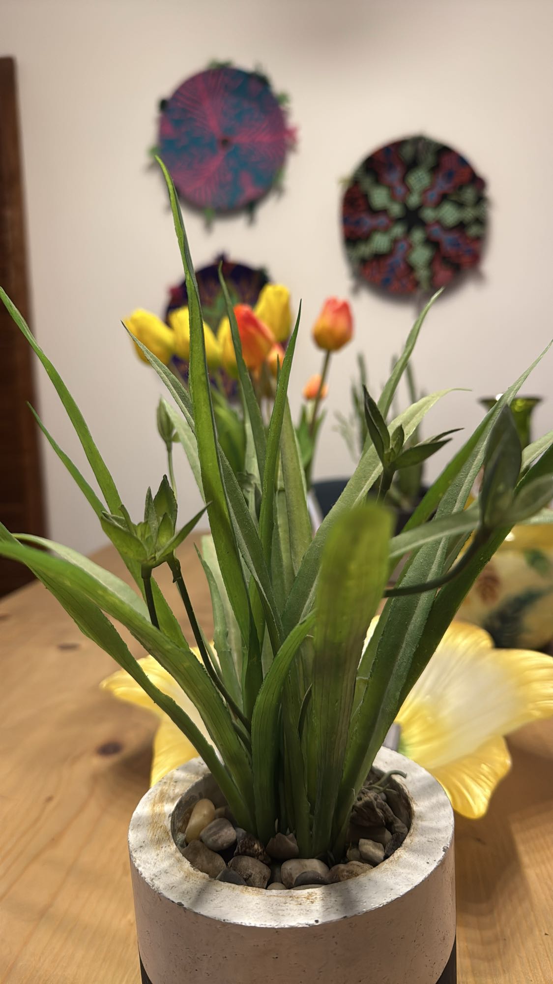 No Edible Food Detected