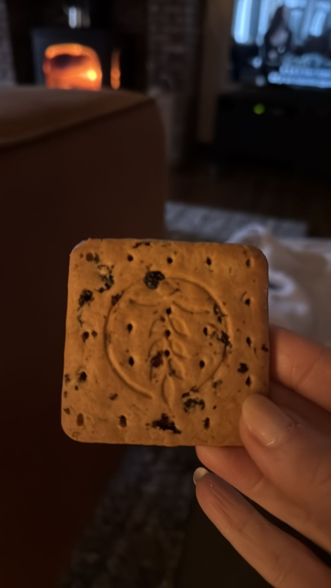 Rozijnenbiscuit