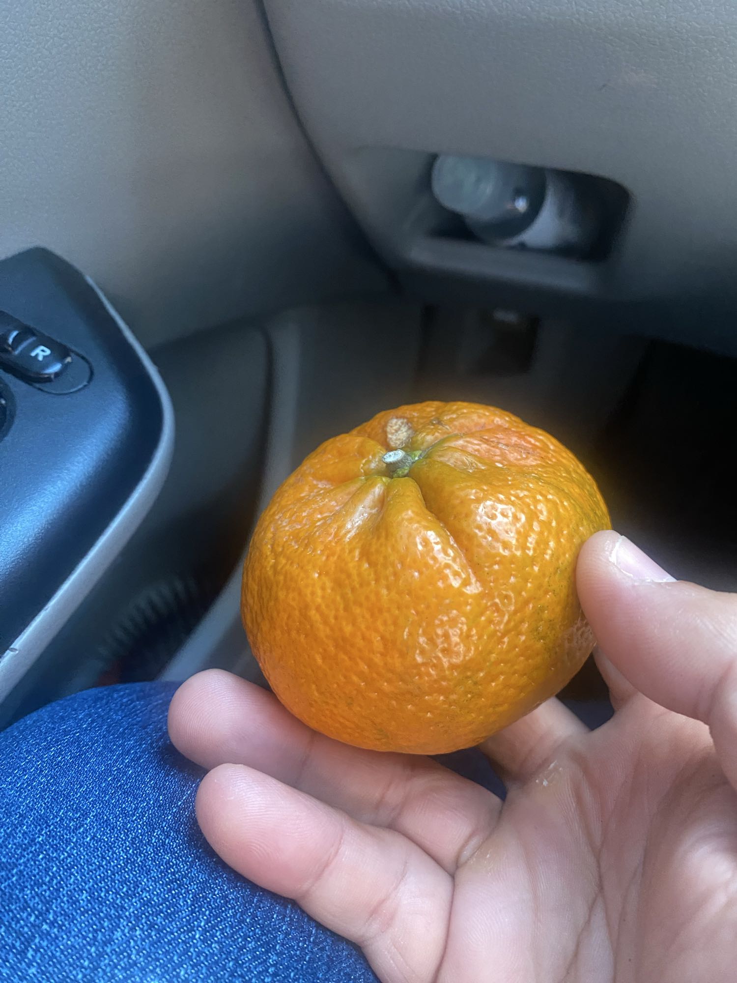 Mandarina fresca