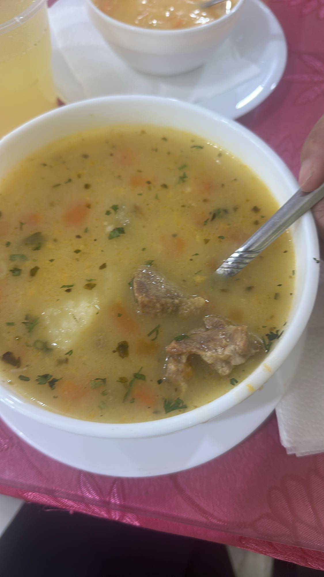 sopa de carne y verduras