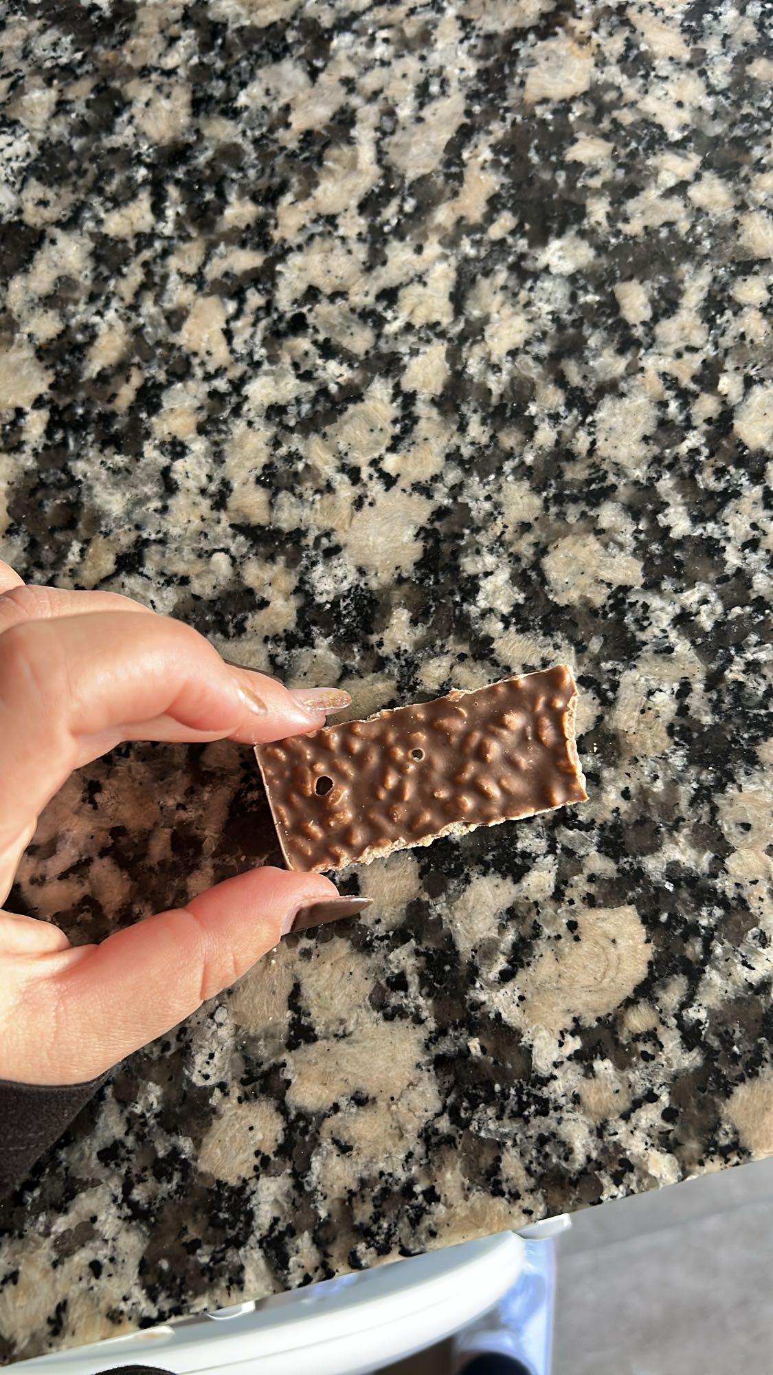 galleta de chocolate