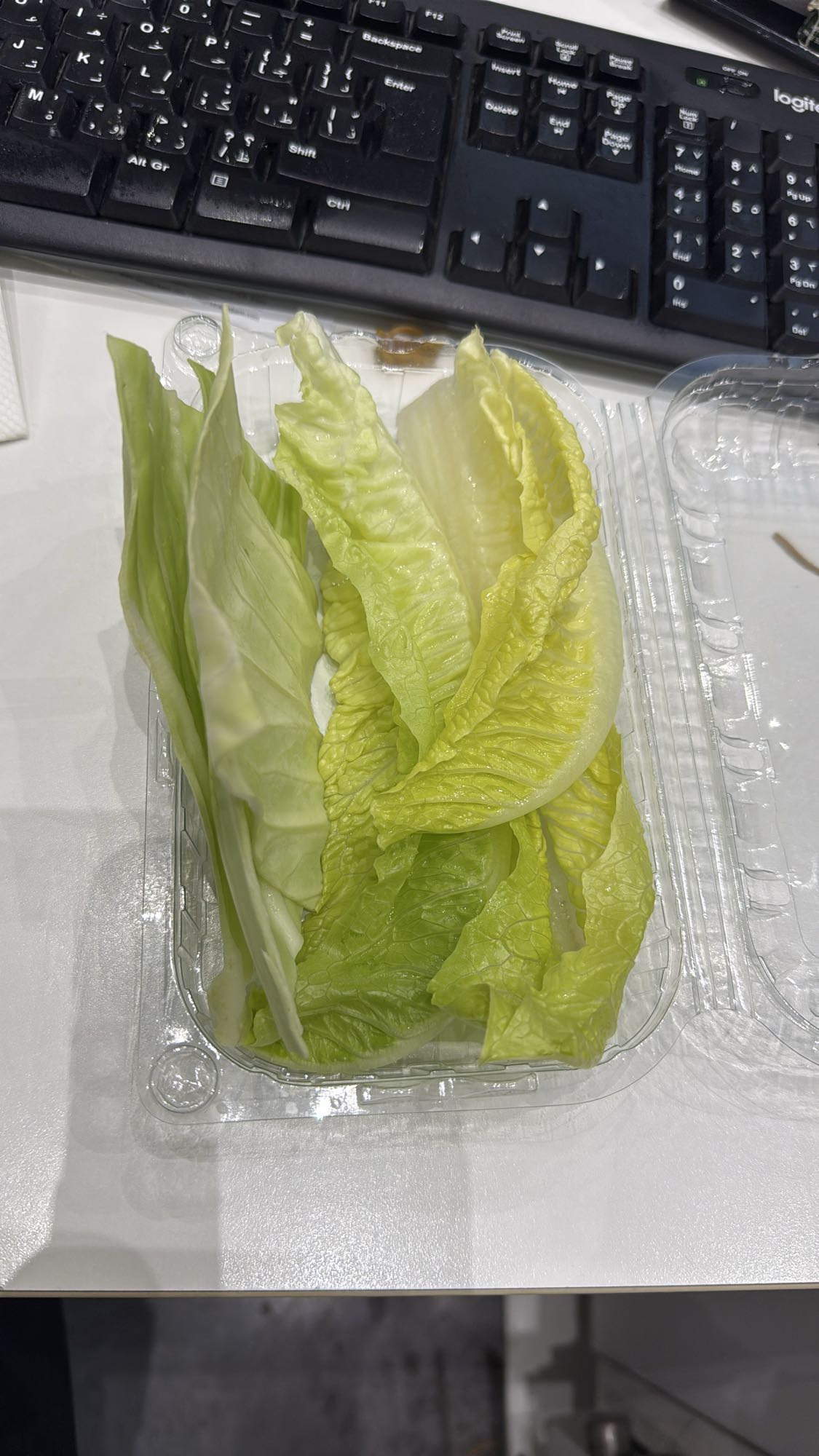 Lettuce and cabbage leaves