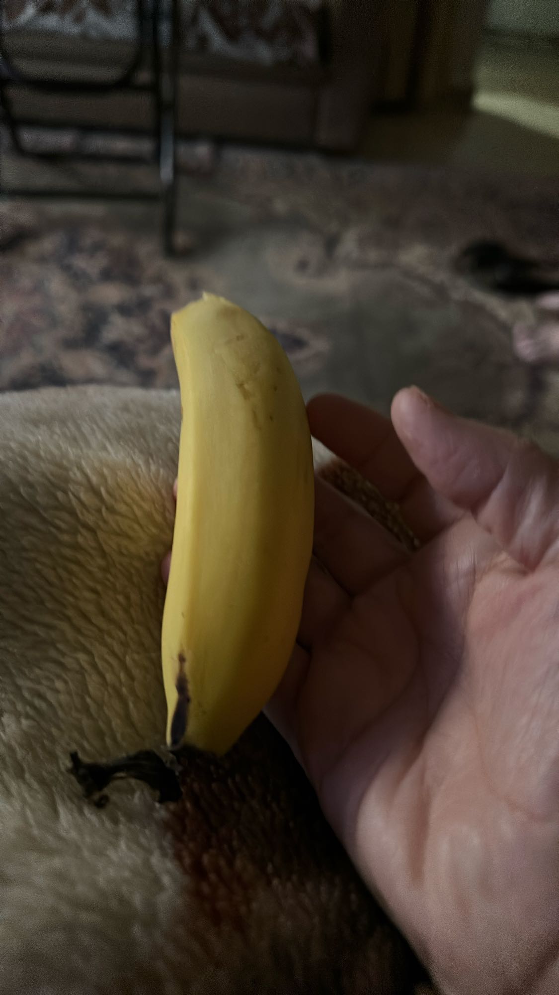 Small Banana Snack