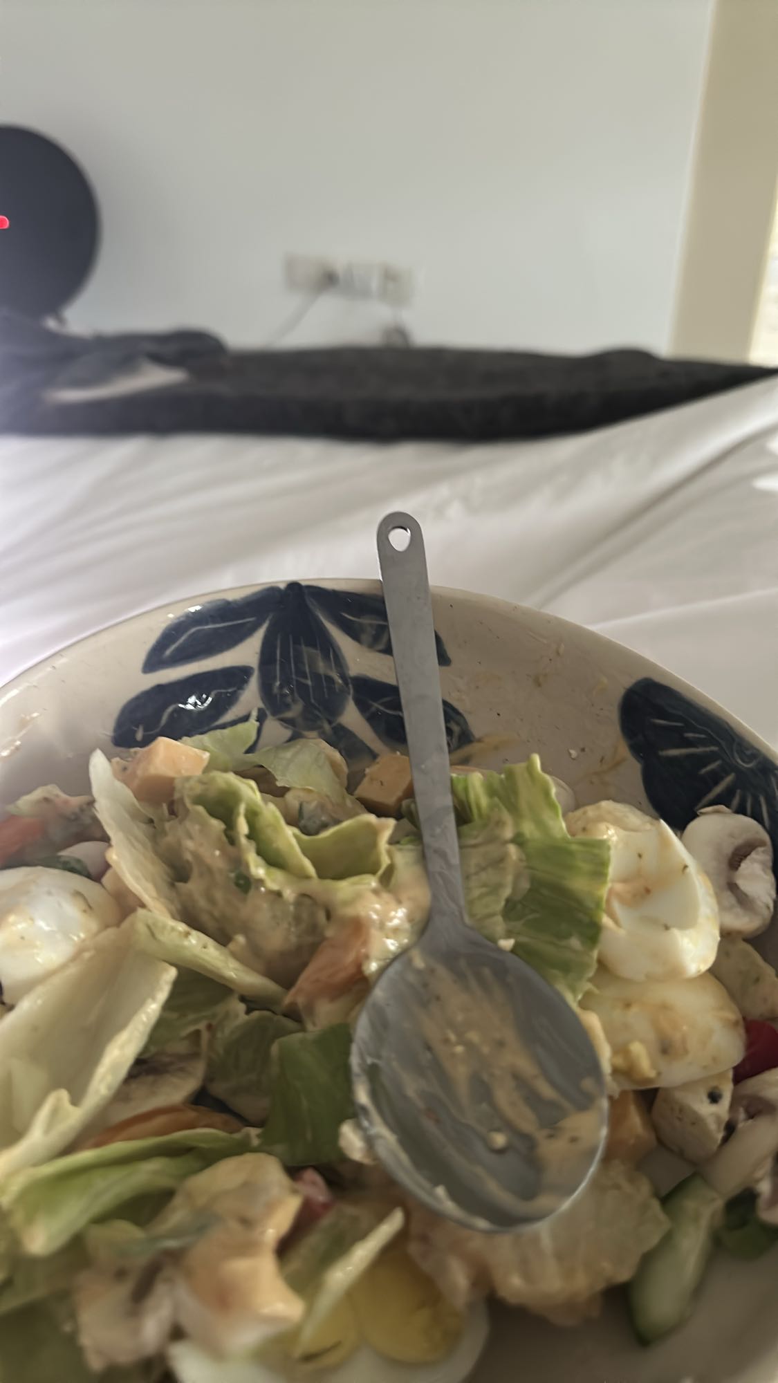 Egg and Veggie Salad