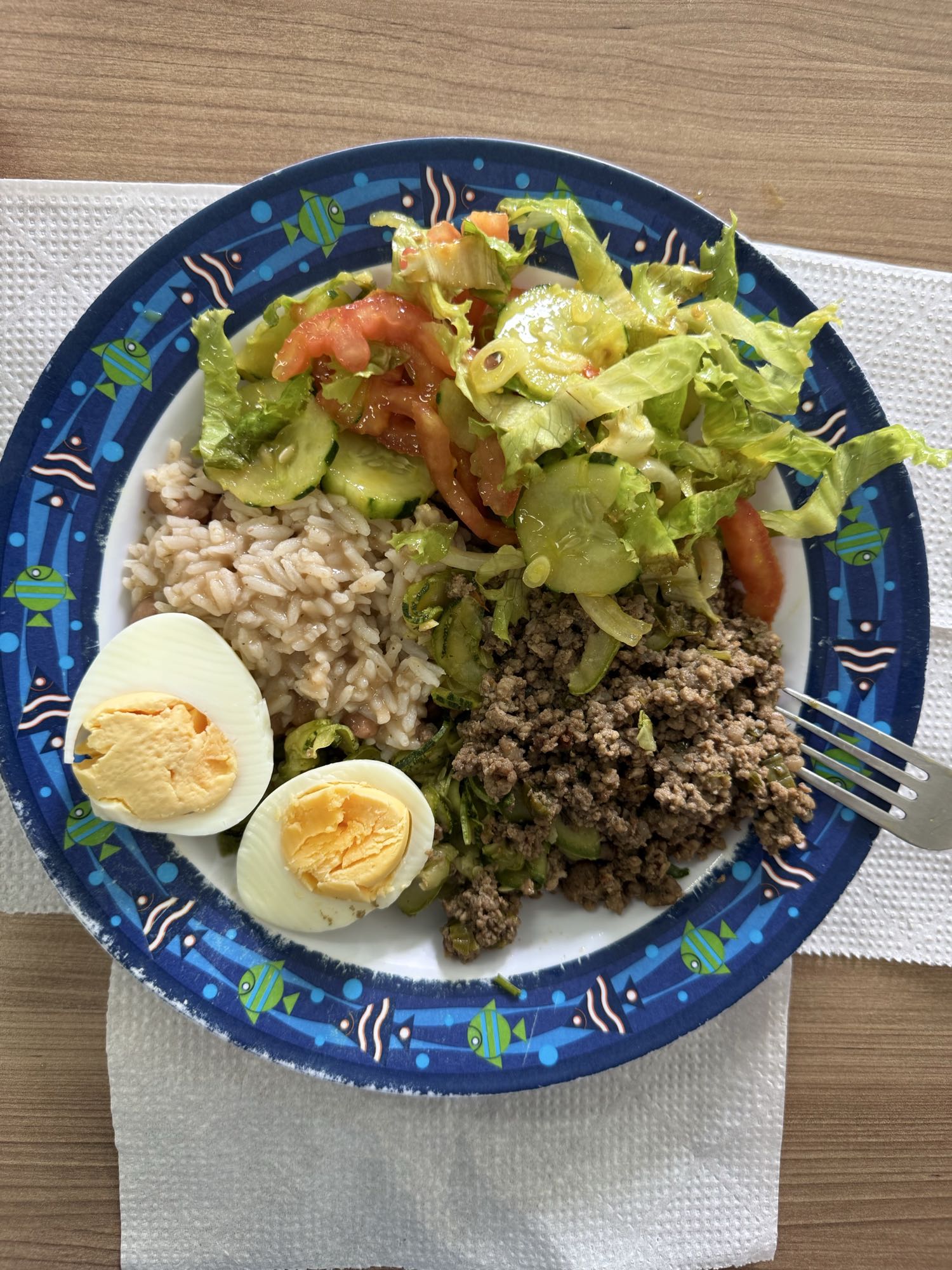 Arroz, carne, ovo e salada