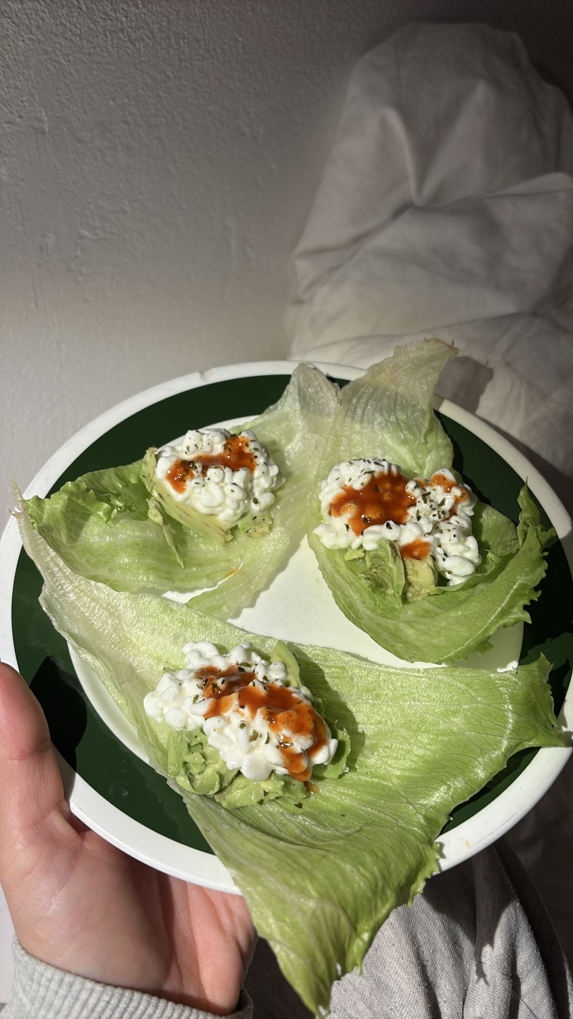 Salladswraps med keso