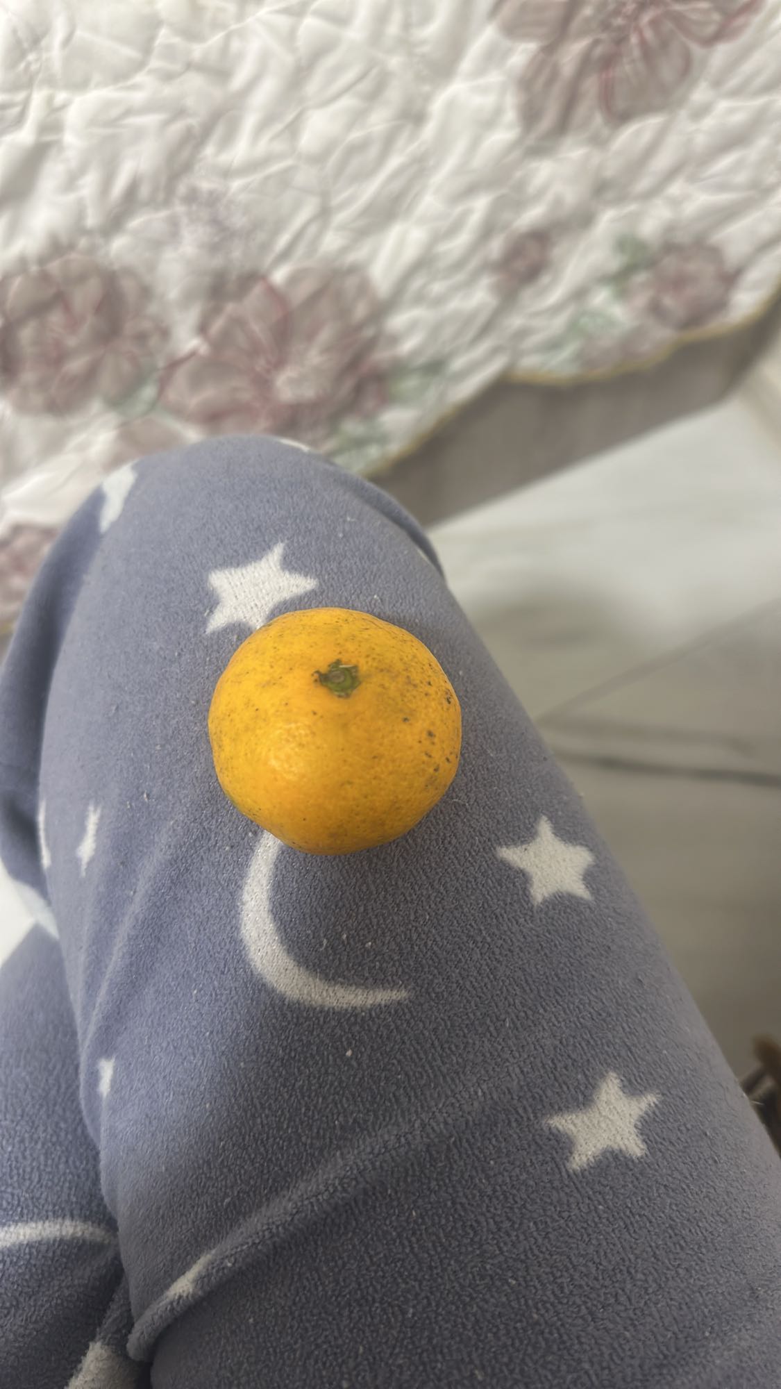 маленький мандарин