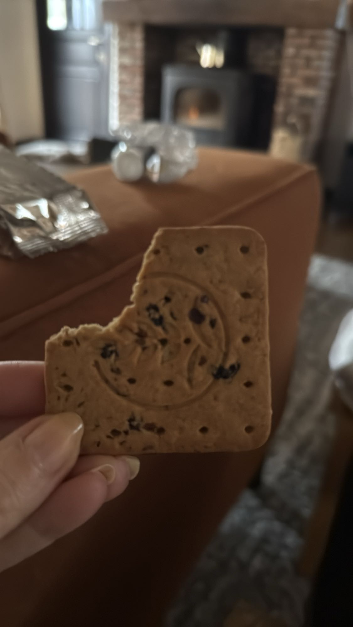 Haverkoekje met rozijnen