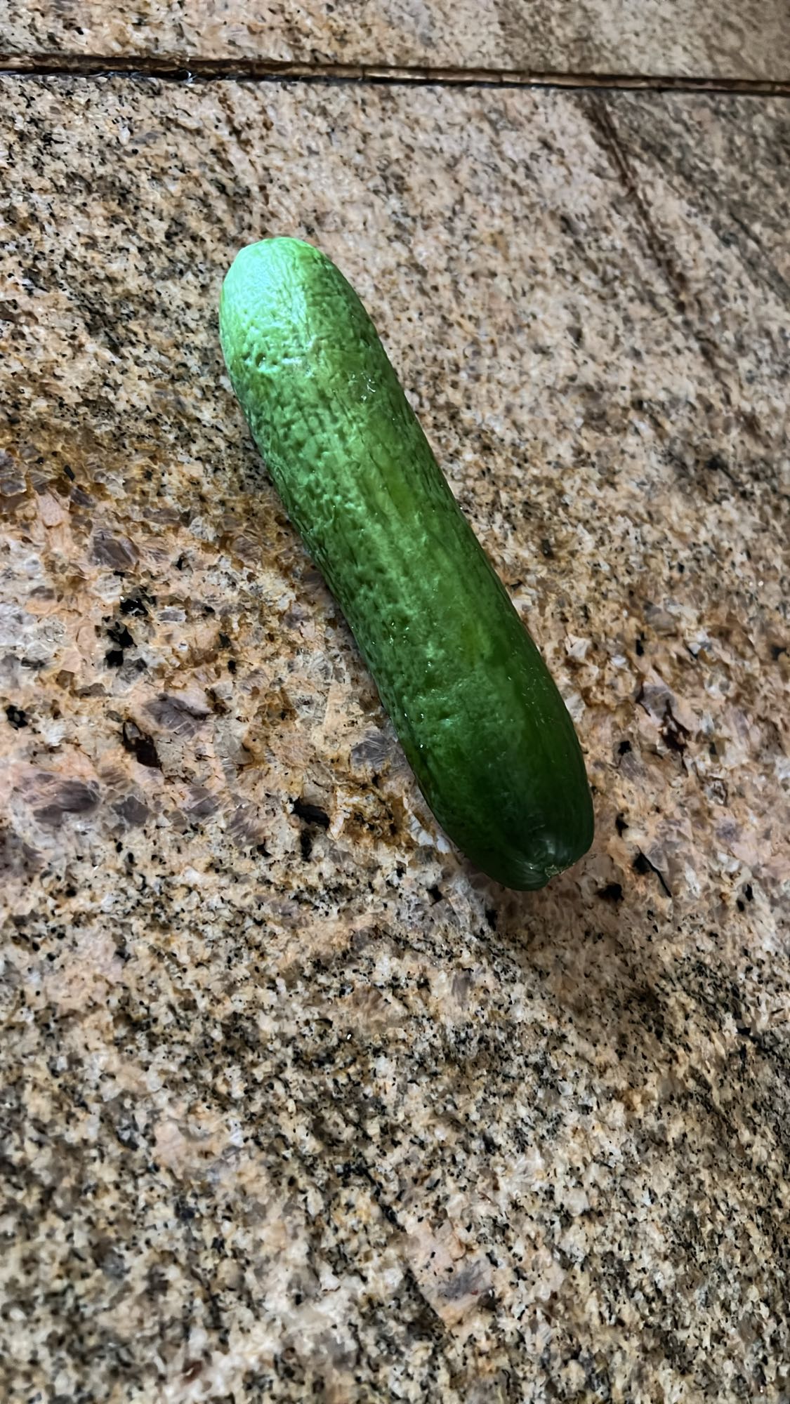 Fresh Cucumber
