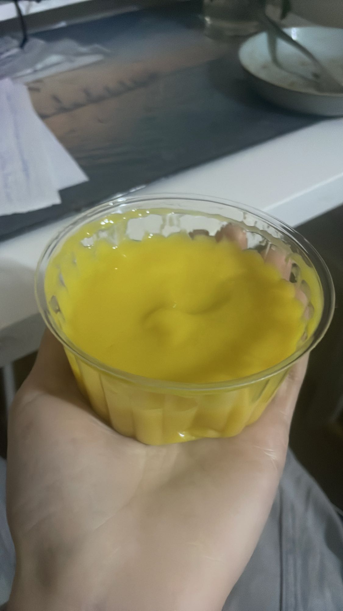 Mango Pudding
