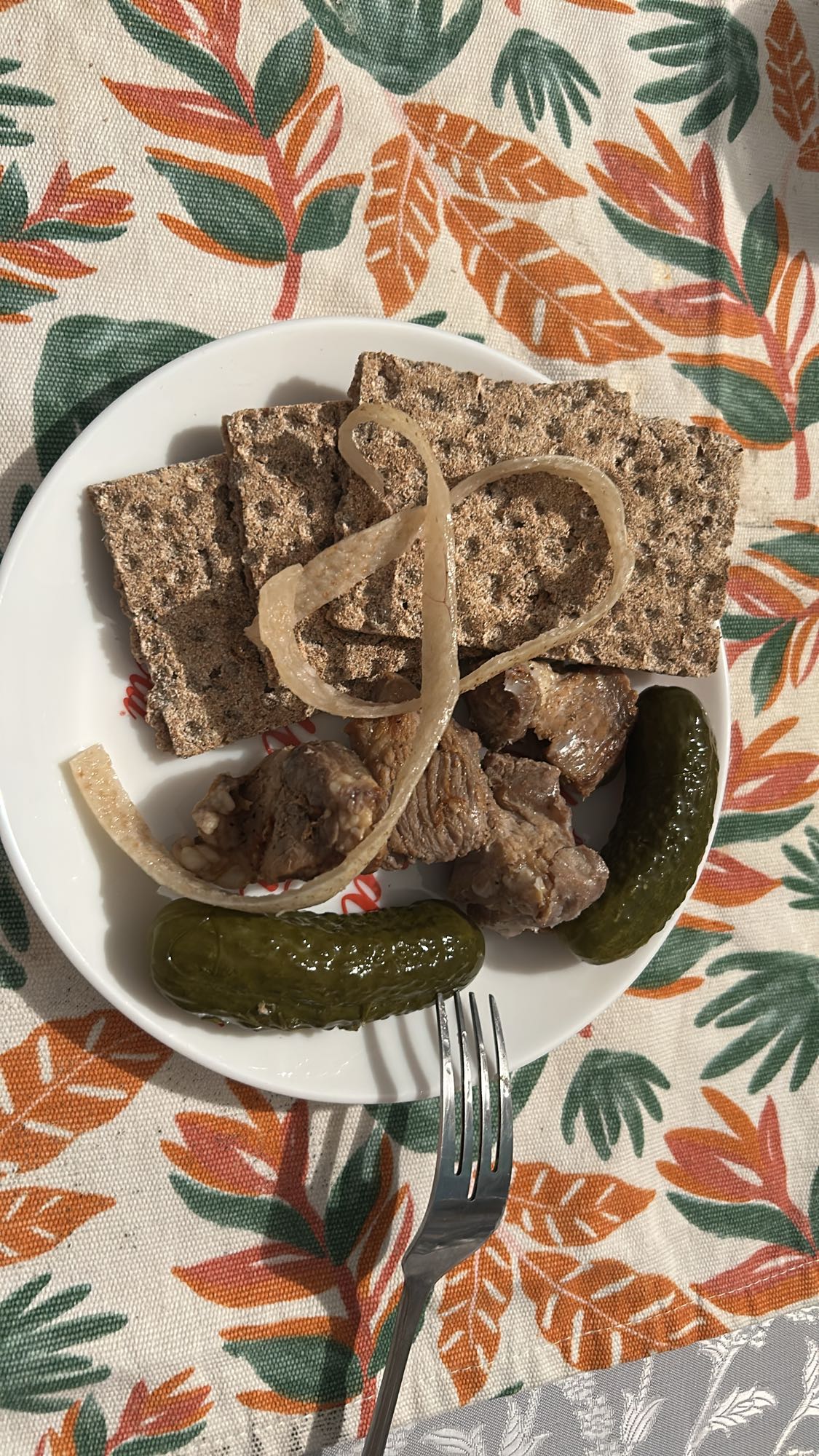 Carne cu crackers și castraveți