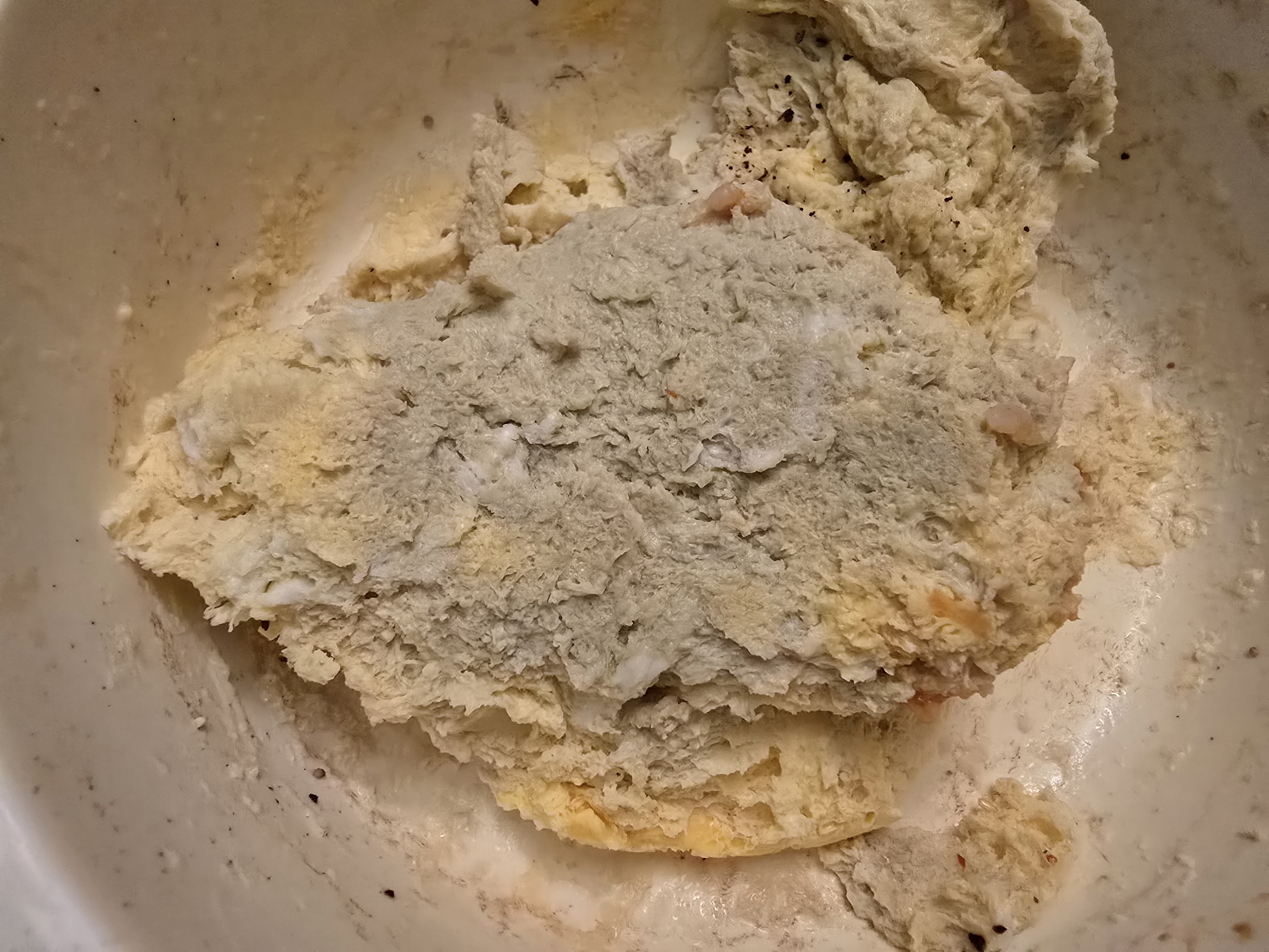 Plain Bread Dough
