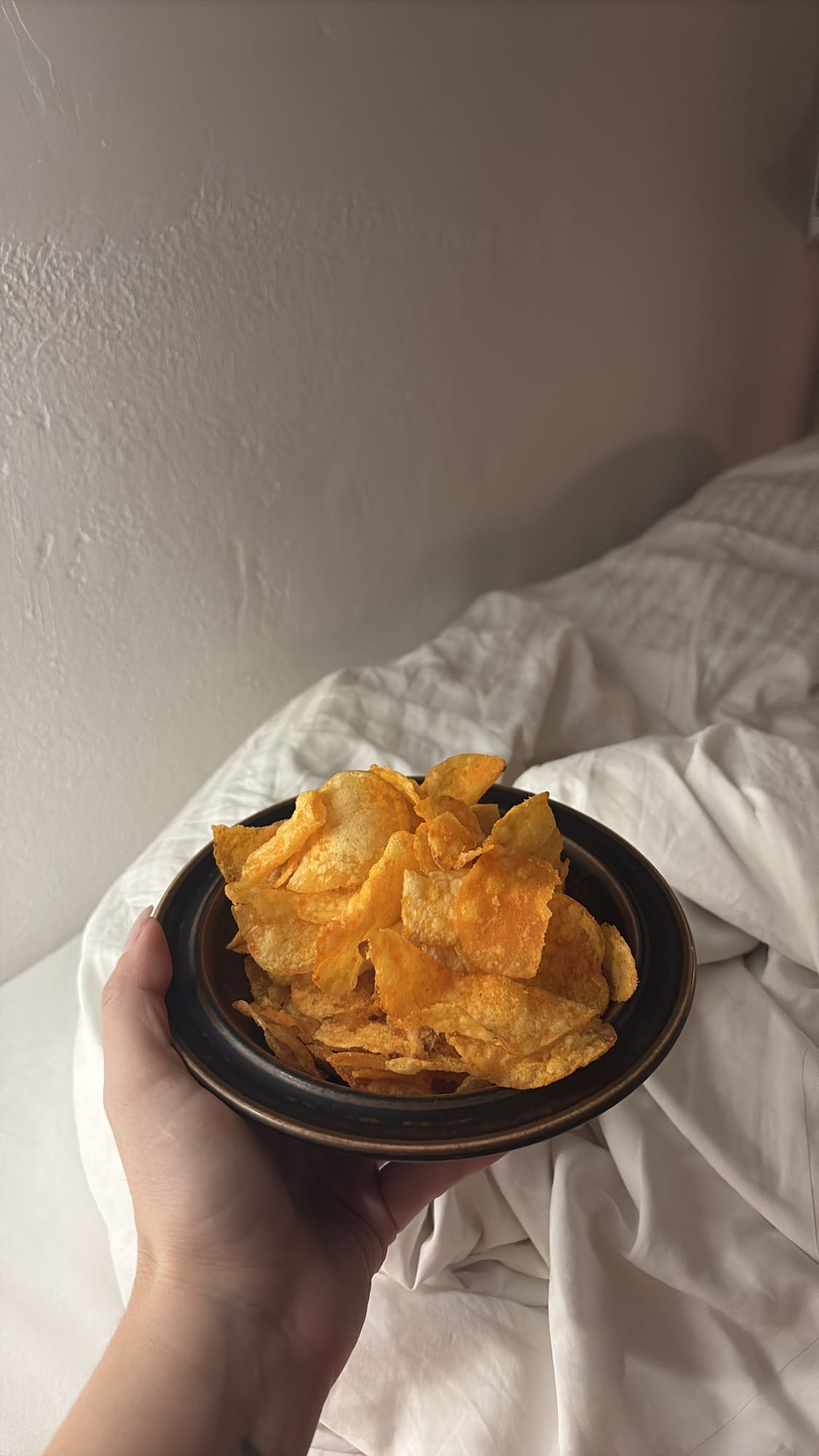 Skål med potatischips