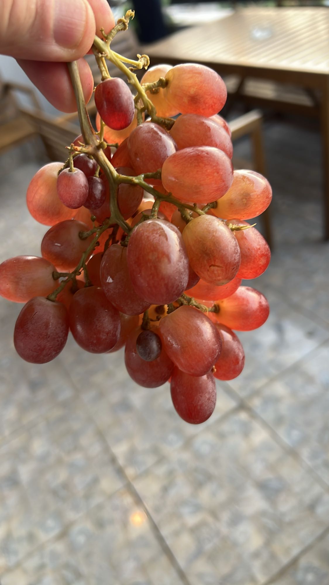 Red Grapes Snack
