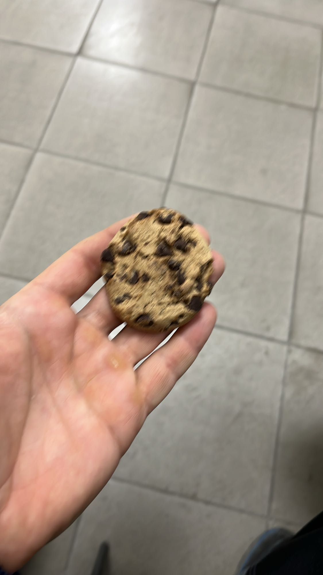 шоколадова бисквита