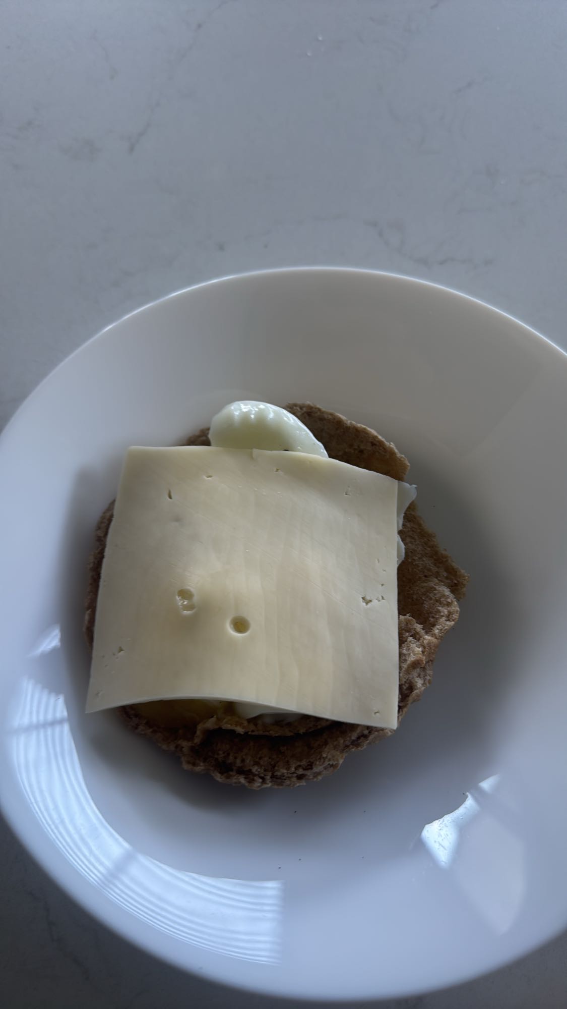 Cheese on Whole Wheat Bread