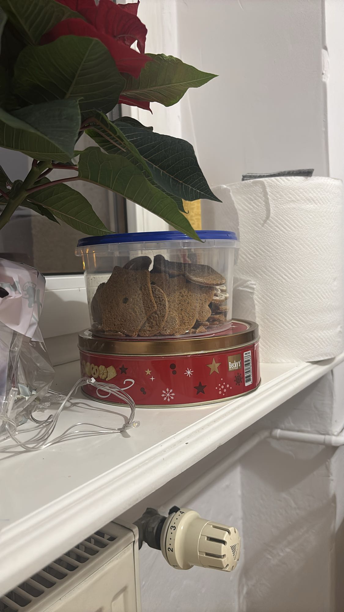 ciasteczka świąteczne